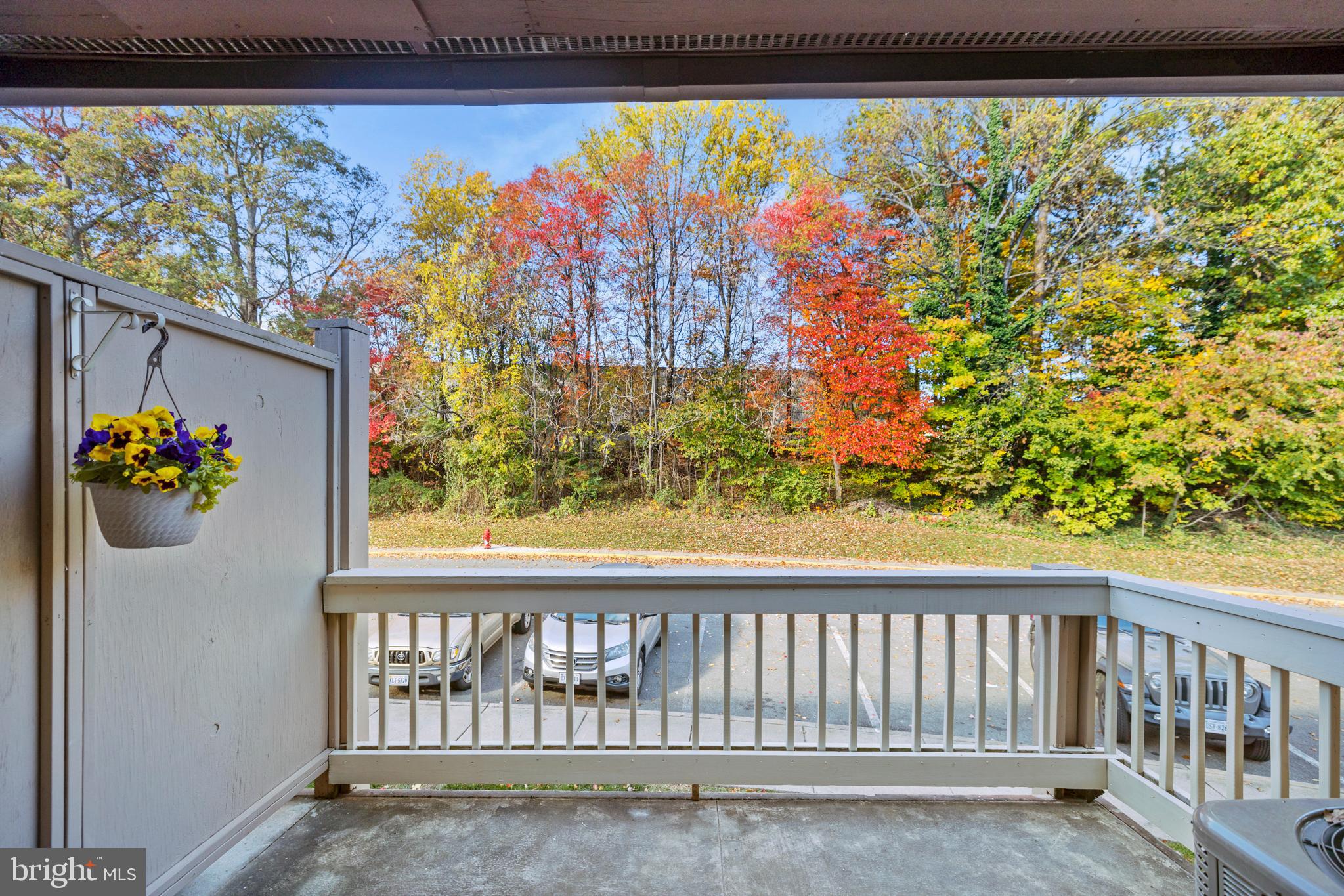 5821 Royal Ridge Drive, Unit E Springfield, VA 22152 - Photo 14 of 18 A deck with a view