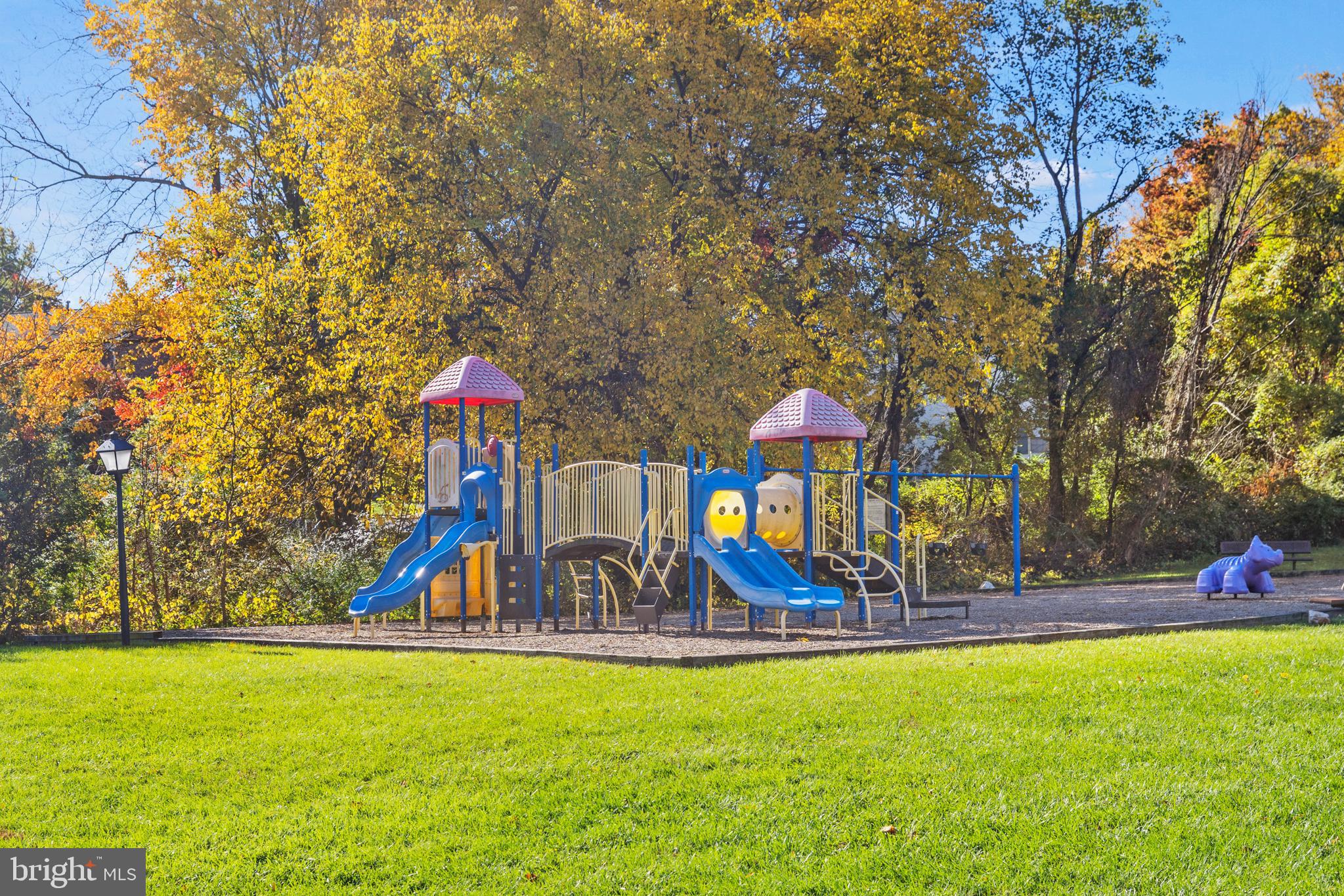 5821 Royal Ridge Drive, Unit E Springfield, VA 22152 - Photo 16 of 18 Play ground