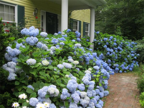 109 New Boston Road Fairhaven, MA 02719 - Photo 17 of 18 Gallery Image 17