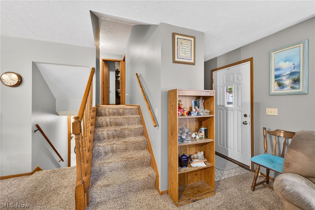 4404 Florida Street Perry, OH 44081 - Photo 9 of 24 Entryway with light carpet and a textured ceiling