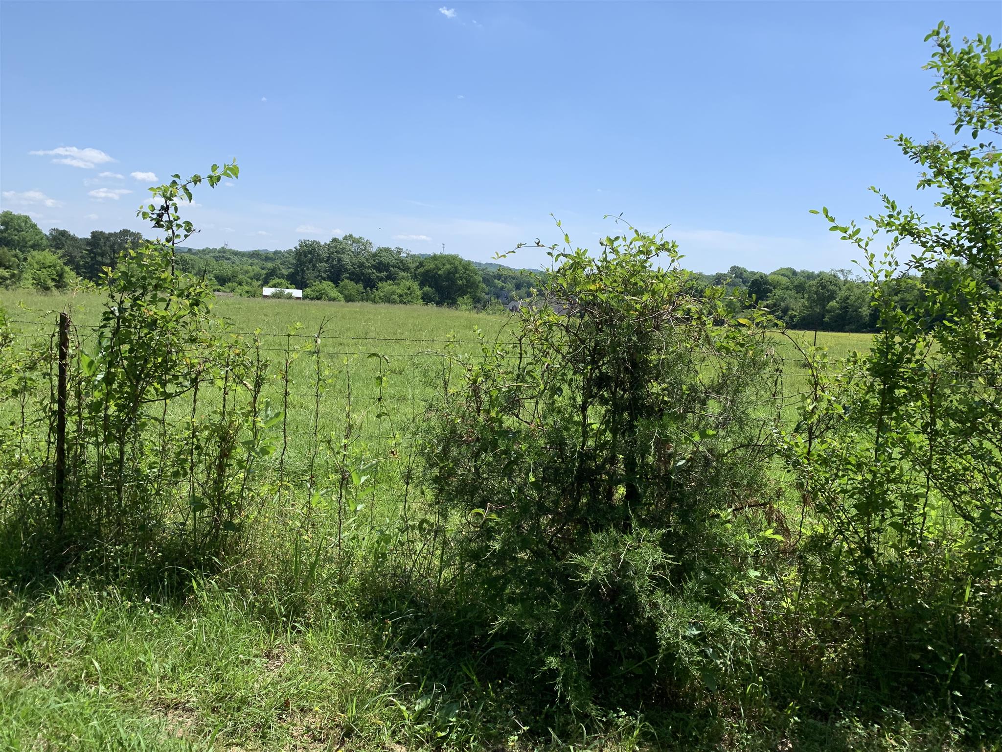 0 Newt Hood Road Columbia, TN 38401 - Photo 2 of 27 a view of a green field with lots of bushes
