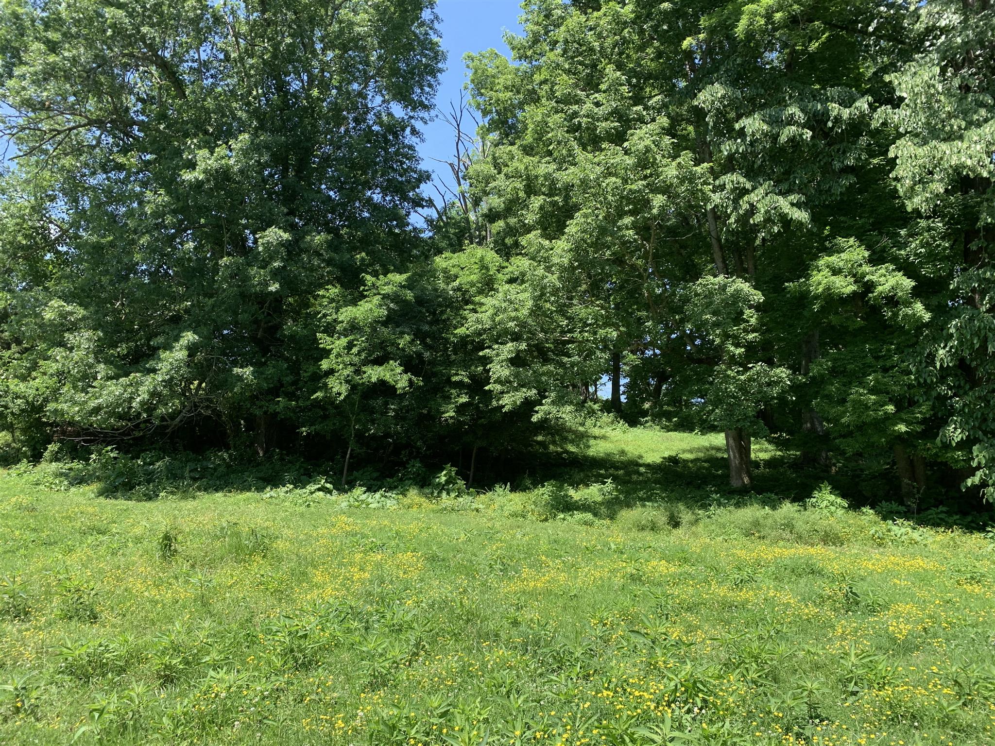 0 Newt Hood Road Columbia, TN 38401 - Photo 12 of 27 a view of backyard with green space