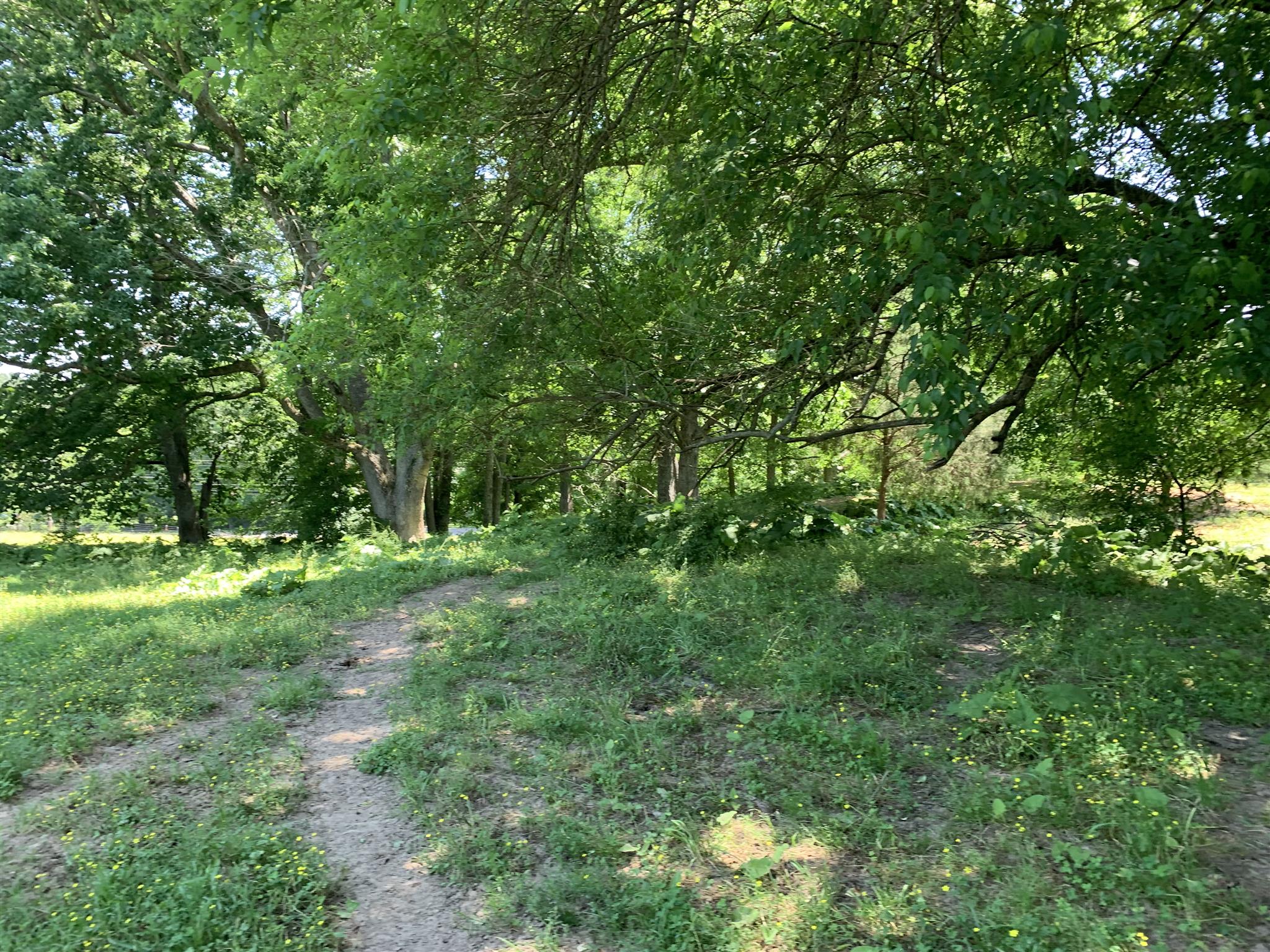 0 Newt Hood Road Columbia, TN 38401 - Photo 13 of 27 a view of outdoor space and yard