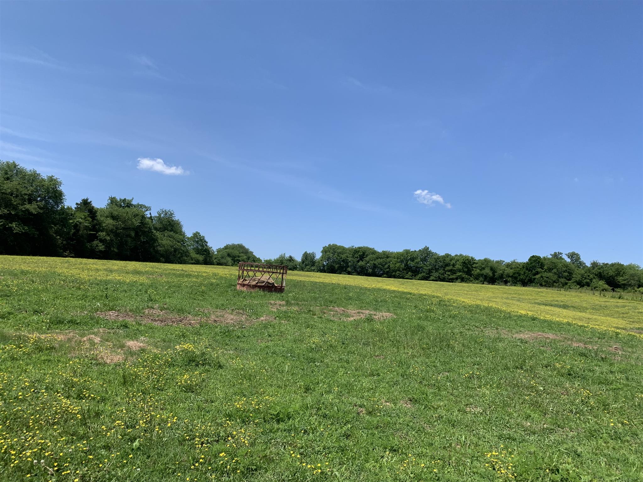 0 Newt Hood Road Columbia, TN 38401 - Photo 15 of 27 a view of a green field with an ocean