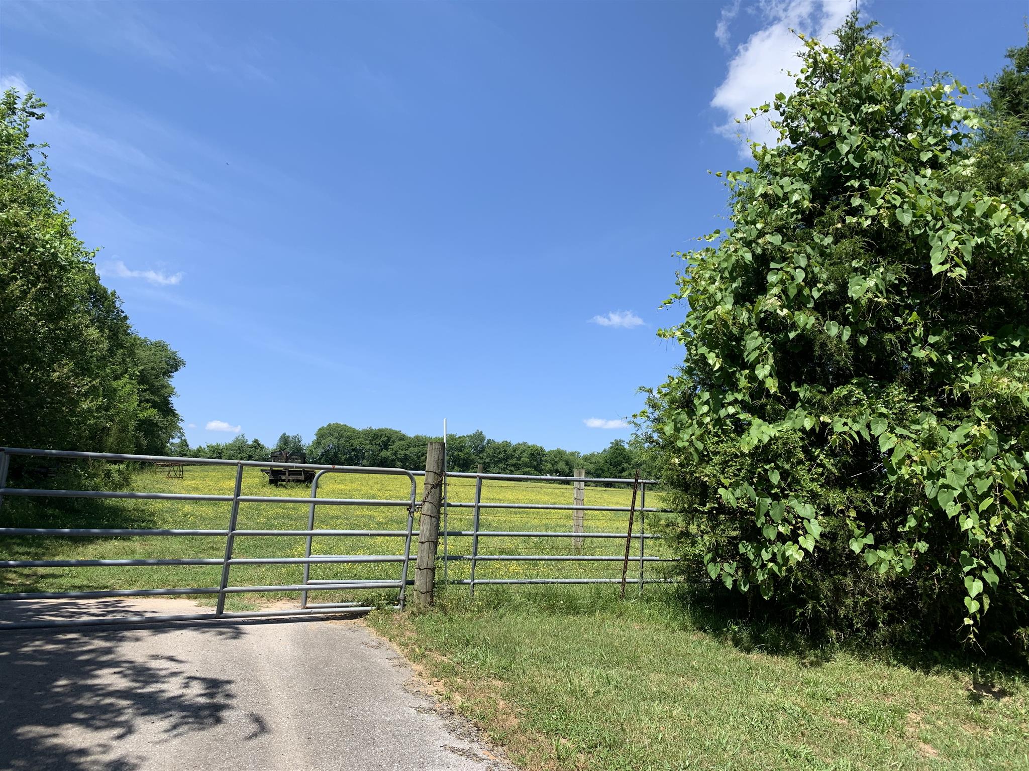 0 Newt Hood Road Columbia, TN 38401 - Photo 16 of 27 a view of a park