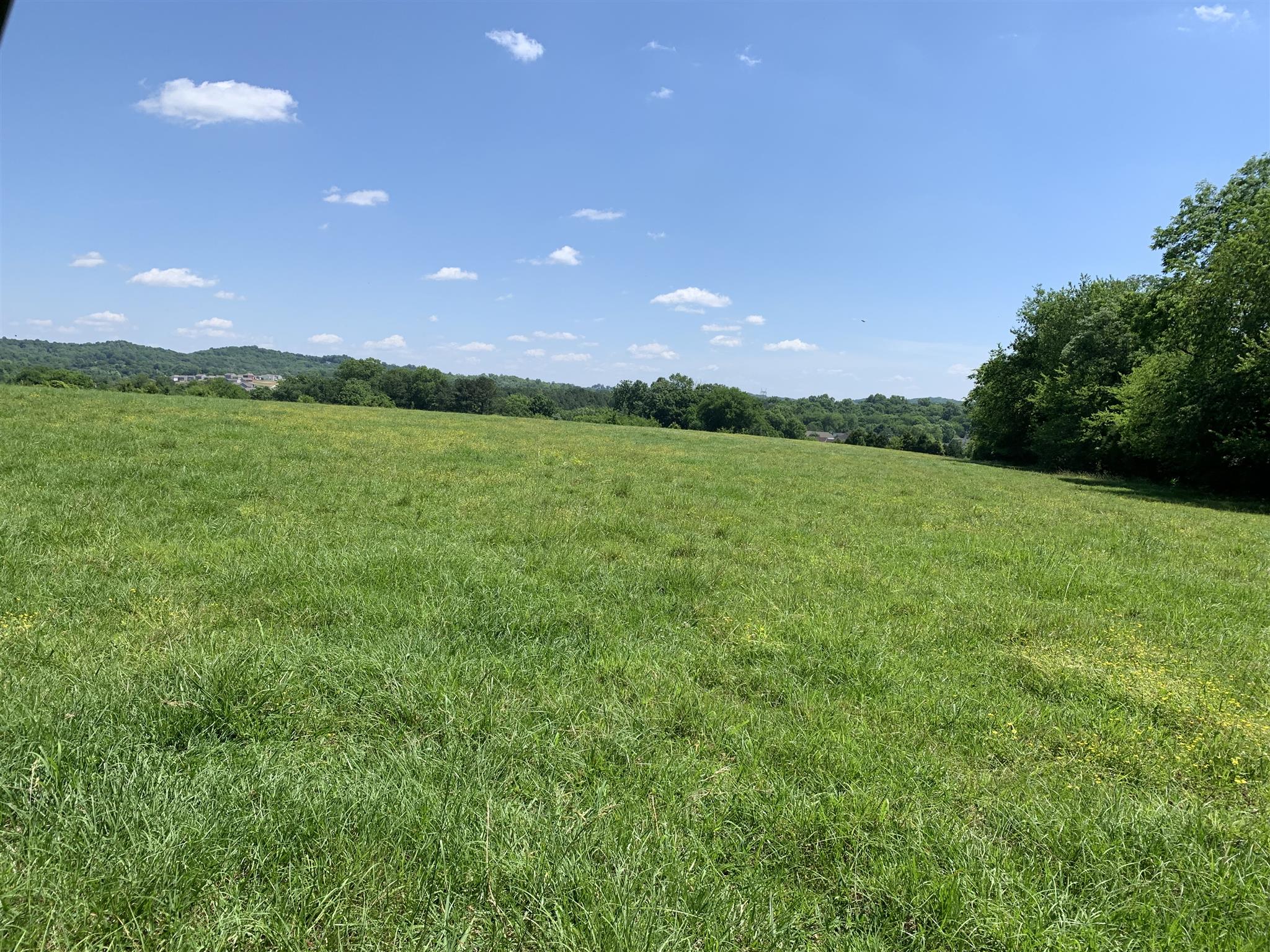 0 Newt Hood Road Columbia, TN 38401 - Photo 3 of 27 a view of a green field with mountains in the background