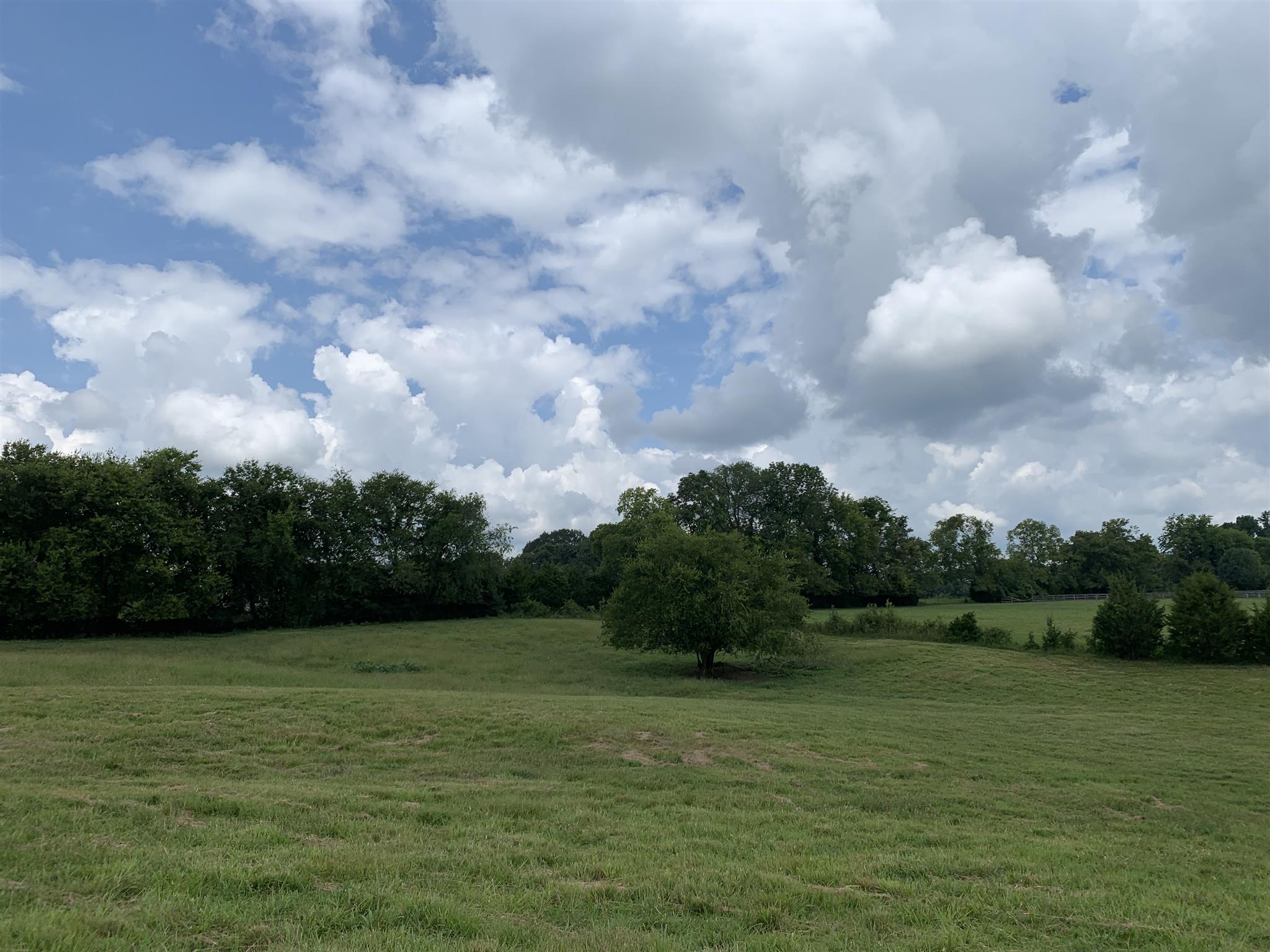 0 Newt Hood Road Columbia, TN 38401 - Photo 24 of 27 a view of outdoor space and swimming pool