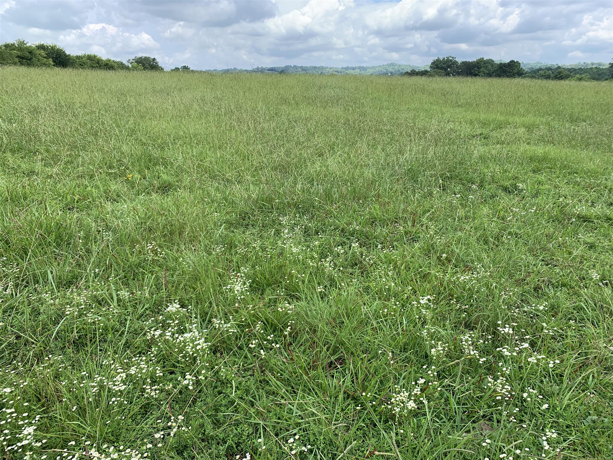 0 Newt Hood Road Columbia, TN 38401 - Photo 25 of 27 a view of an ocean and a yard