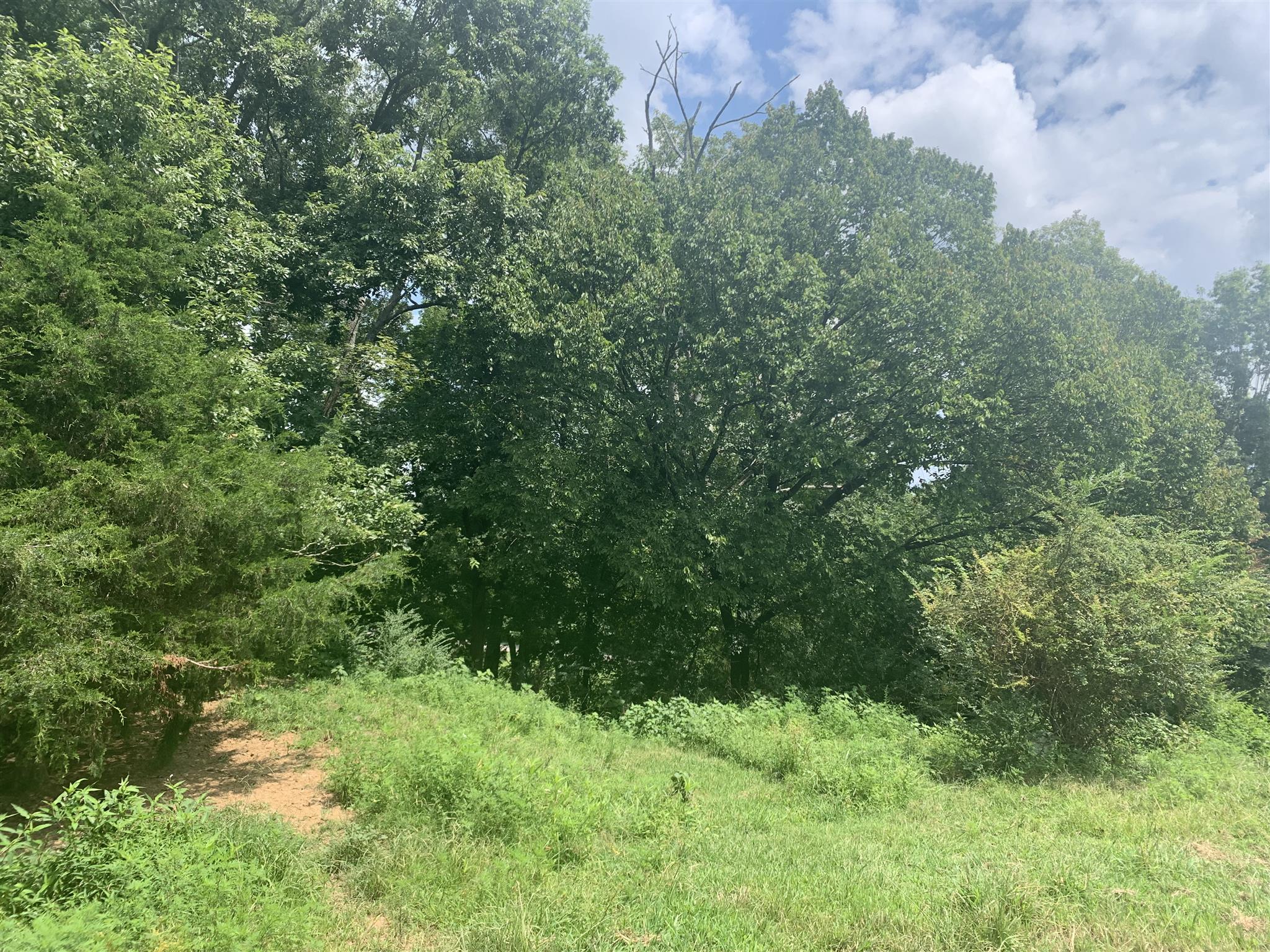 0 Newt Hood Road Columbia, TN 38401 - Photo 26 of 27