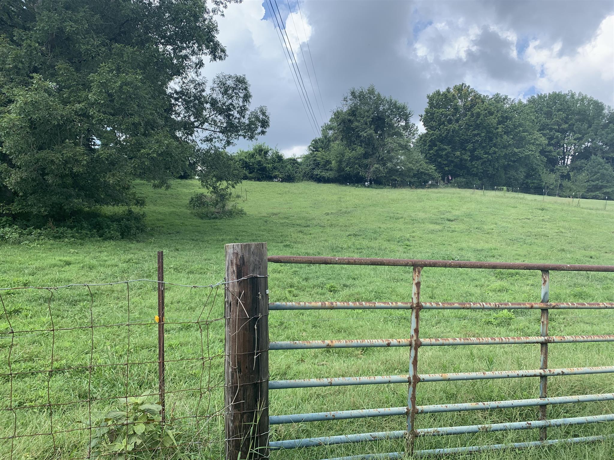 0 Newt Hood Road Columbia, TN 38401 - Photo 4 of 27 a view of a field with a tree in the background