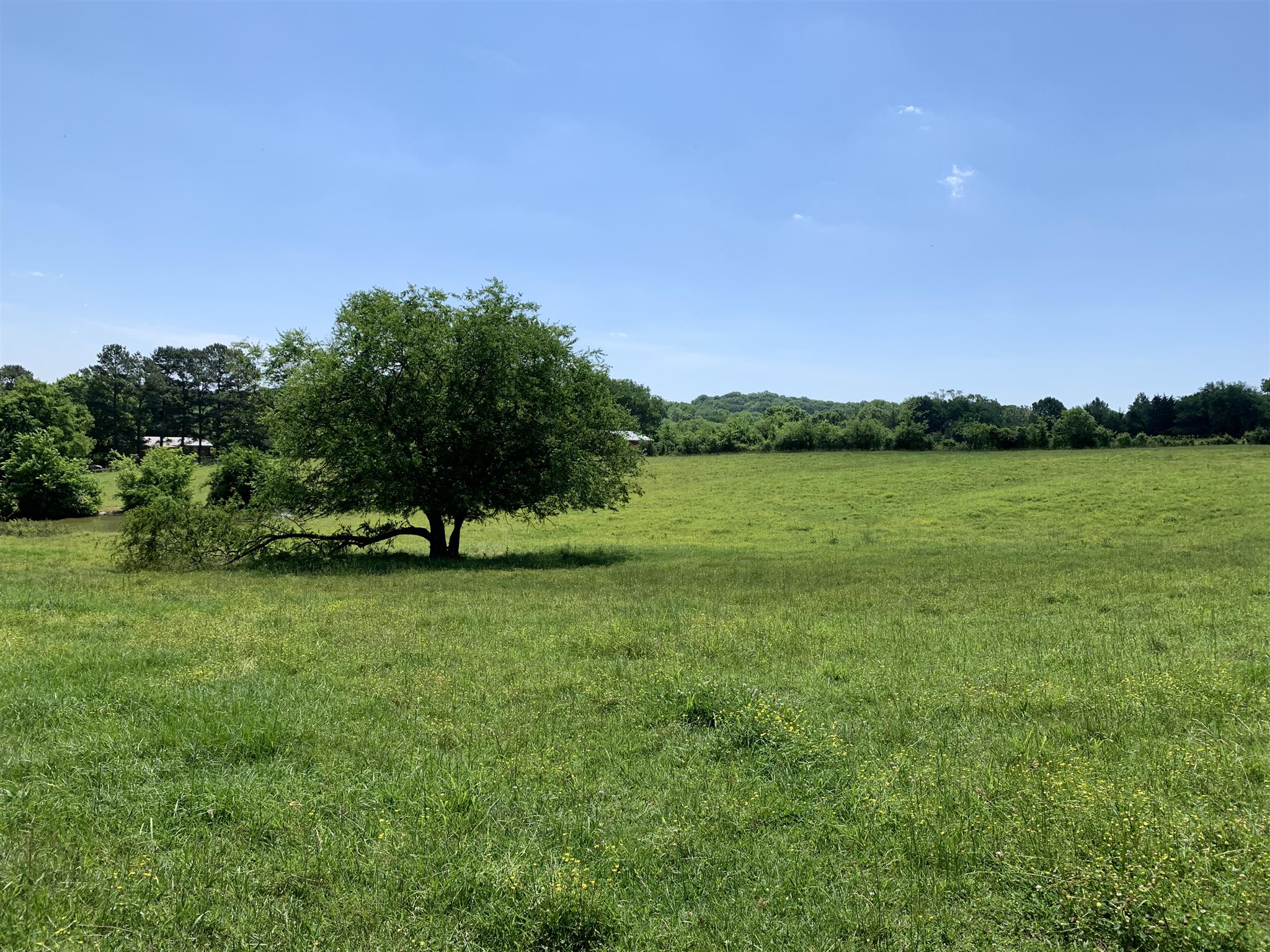 0 Newt Hood Road Columbia, TN 38401 - Photo 5 of 27 a view of a lake with a big yard