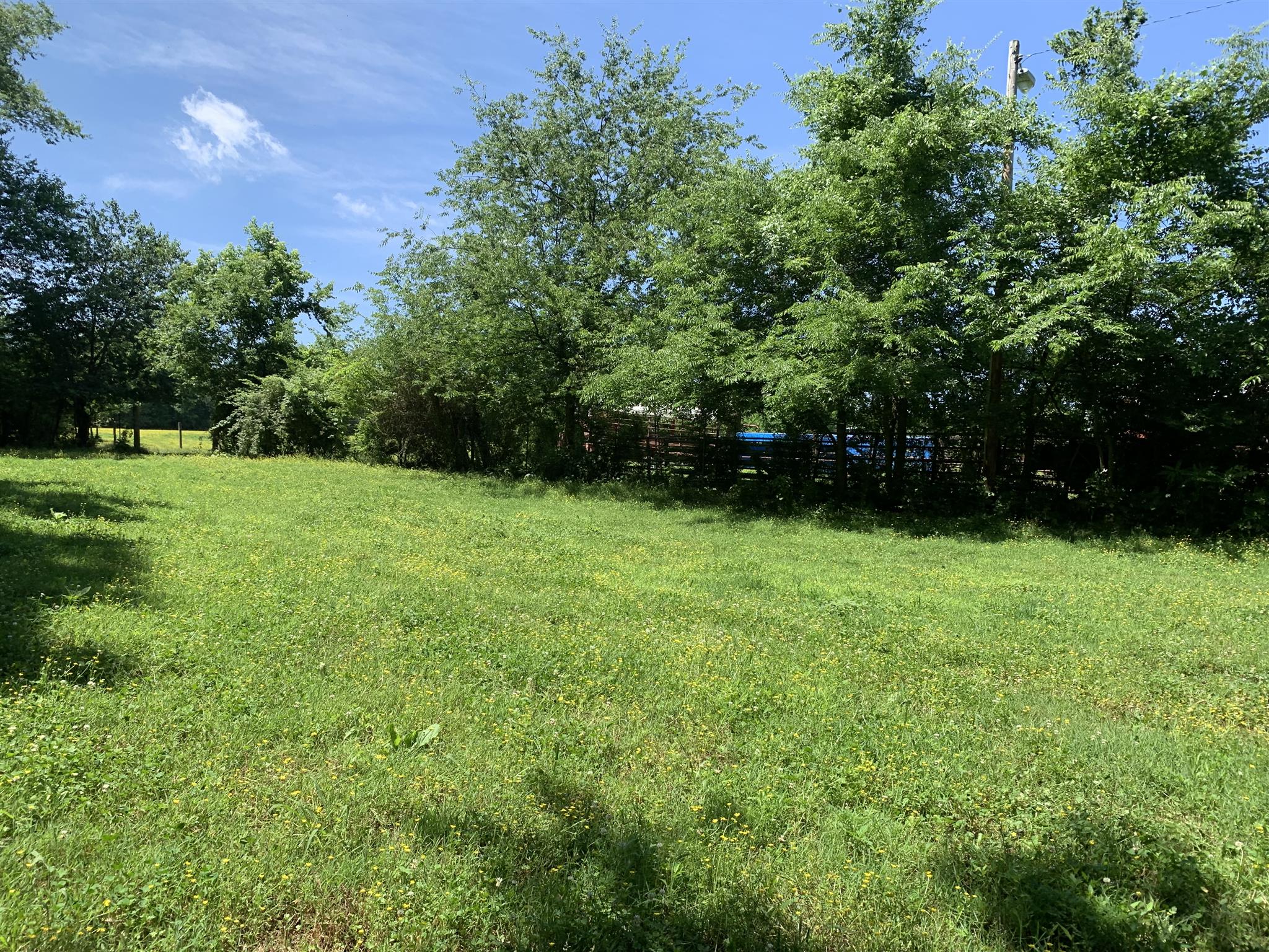 0 Newt Hood Road Columbia, TN 38401 - Photo 9 of 27 a view of field with trees in the background
