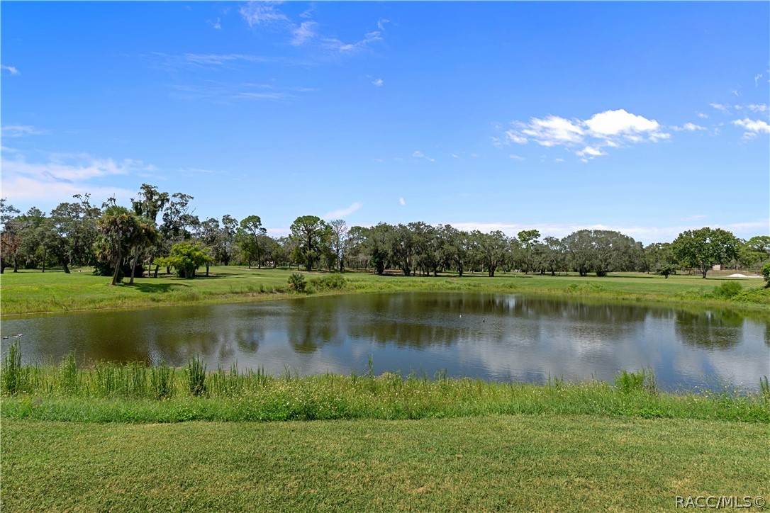 7518 St Andrews Boulevard Weeki Wachee, FL 34613 - Photo 51 of 54 Gallery Image 51