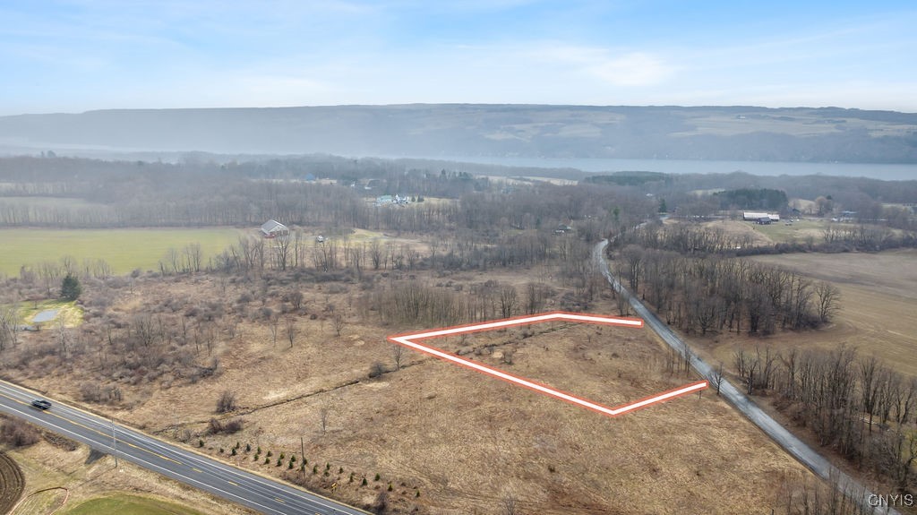 0 Dave Hull Road Skaneateles, NY 13152 - Photo 4 of 6