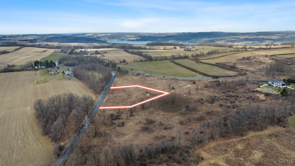 0 Dave Hull Road Skaneateles, NY 13152 - Photo 5 of 6