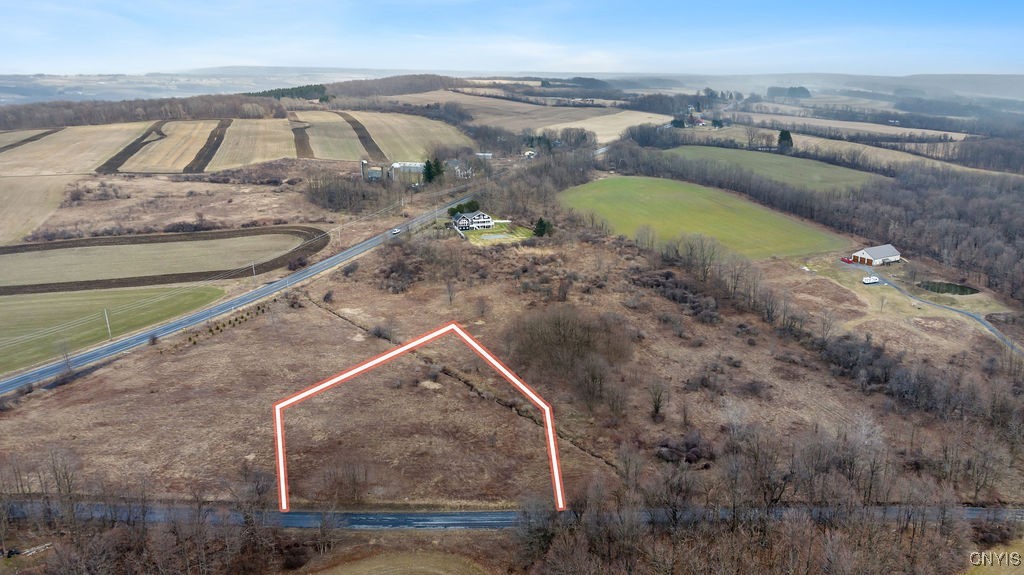 0 Dave Hull Road Skaneateles, NY 13152 - Photo 6 of 6