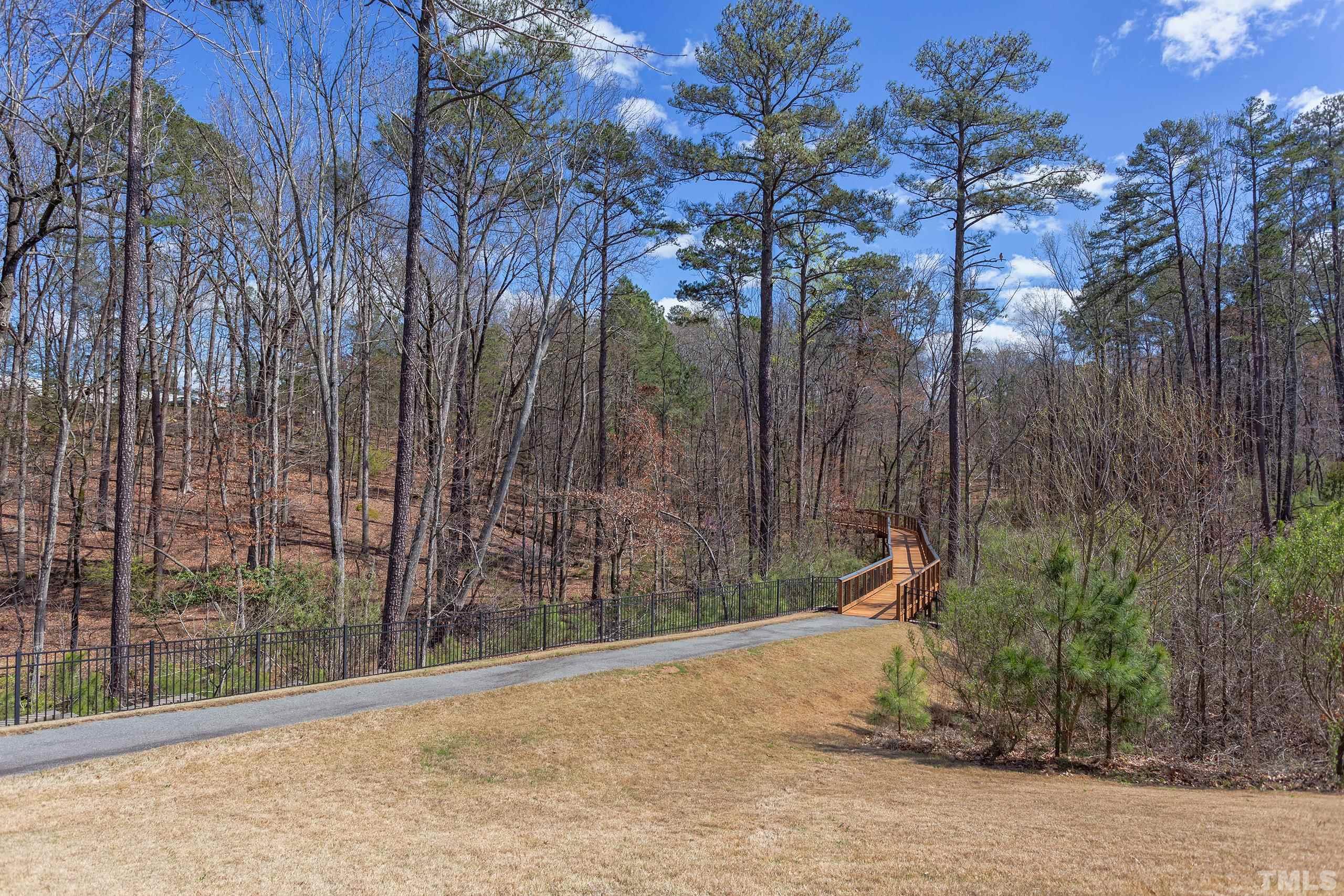 449 Talons Rest Way Cary, NC 27513 - Photo 54 of 54 a view of a garden with trees