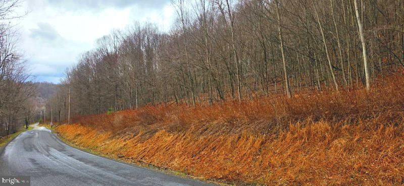 1010 Roaring Branch Road Roaring Branch, PA 17765 - Photo 1 of 3 Looking N near center of Road frontage