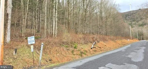 $60,000 | 1010 Roaring Branch Road, Roaring Branch, PA 17765