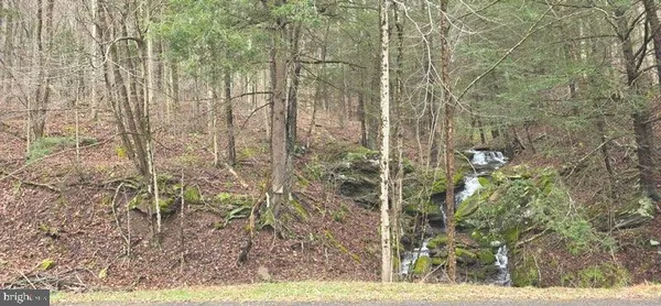 $60,000 | 1010 Roaring Branch Road, Roaring Branch, PA 17765