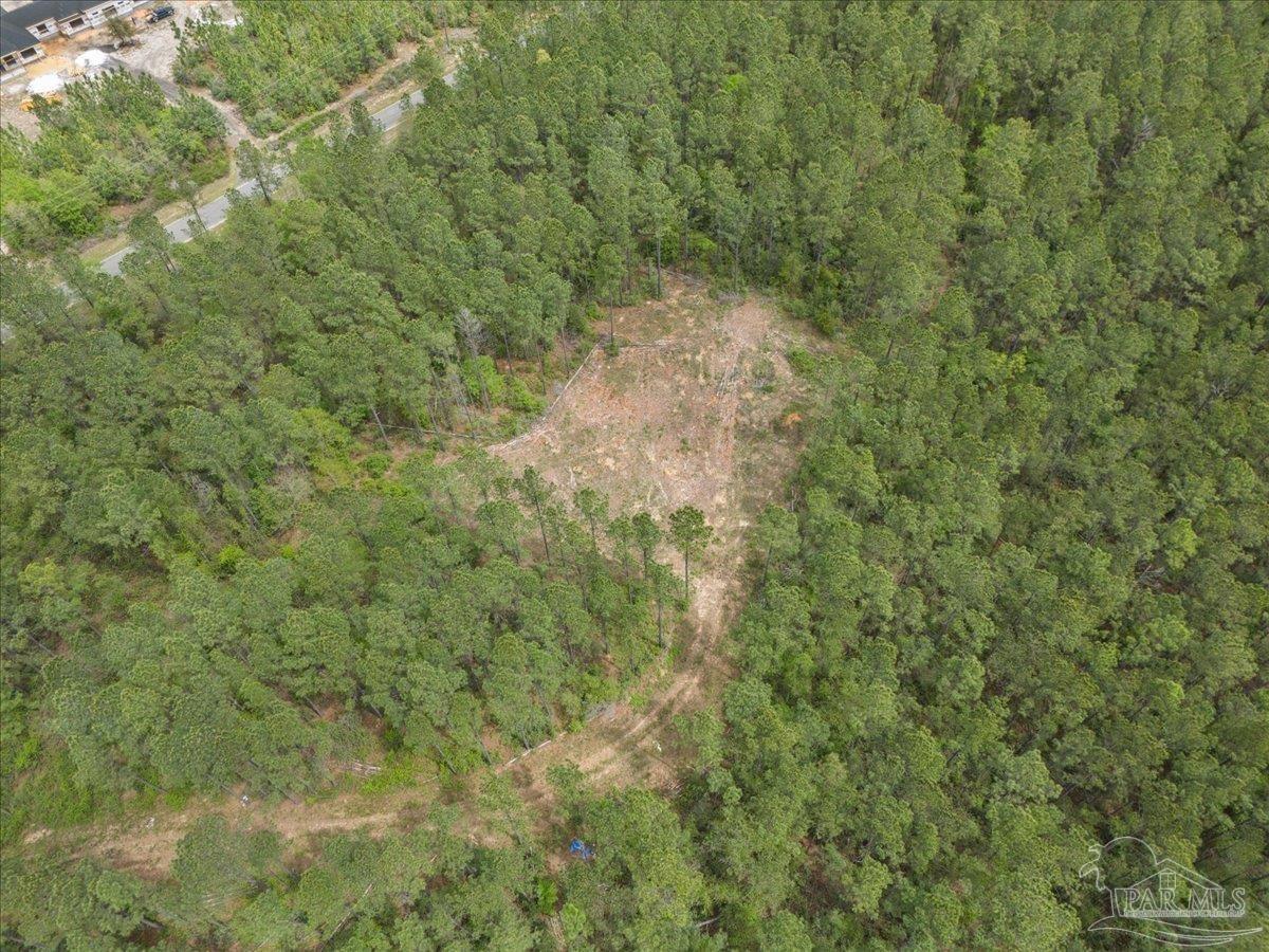 8260 Gin Road Milton, FL 32571 - Photo 3 of 4 homesite clearing for 8260 Gin Road North Pace