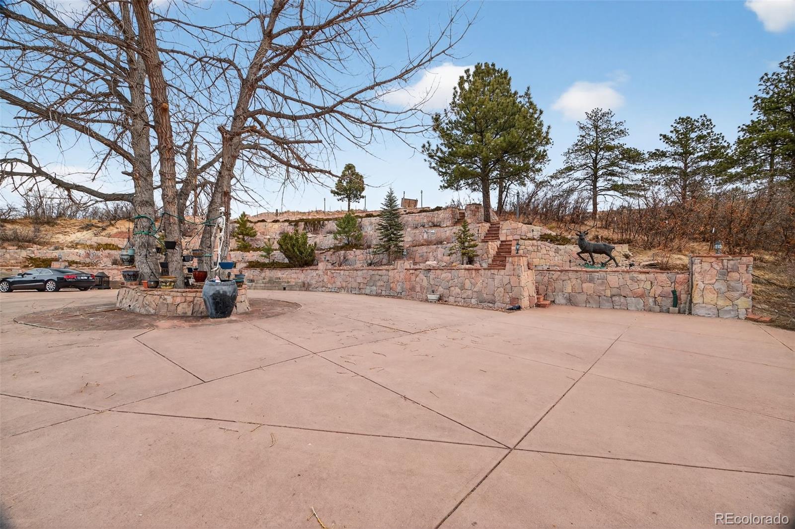 450 East Happy Canyon Road Castle Rock, CO 80108 - Photo 12 of 48 a view of road and trees