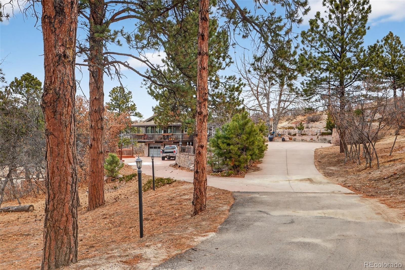 450 East Happy Canyon Road Castle Rock, CO 80108 - Photo 6 of 48 a view of a yard covered with tall trees