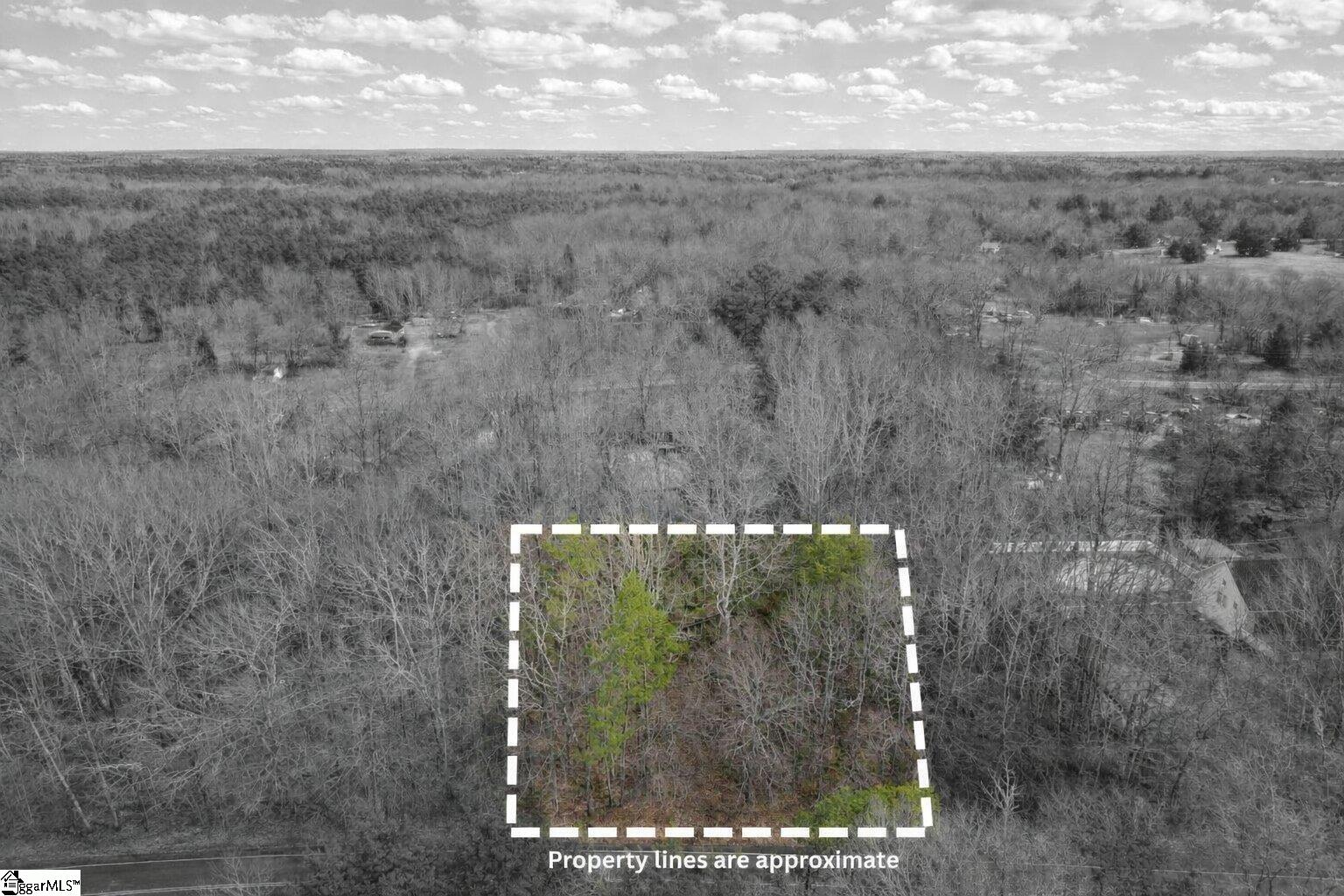 195 State Rd S-42-844 Pacolet, SC 29372 - Photo 4 of 7