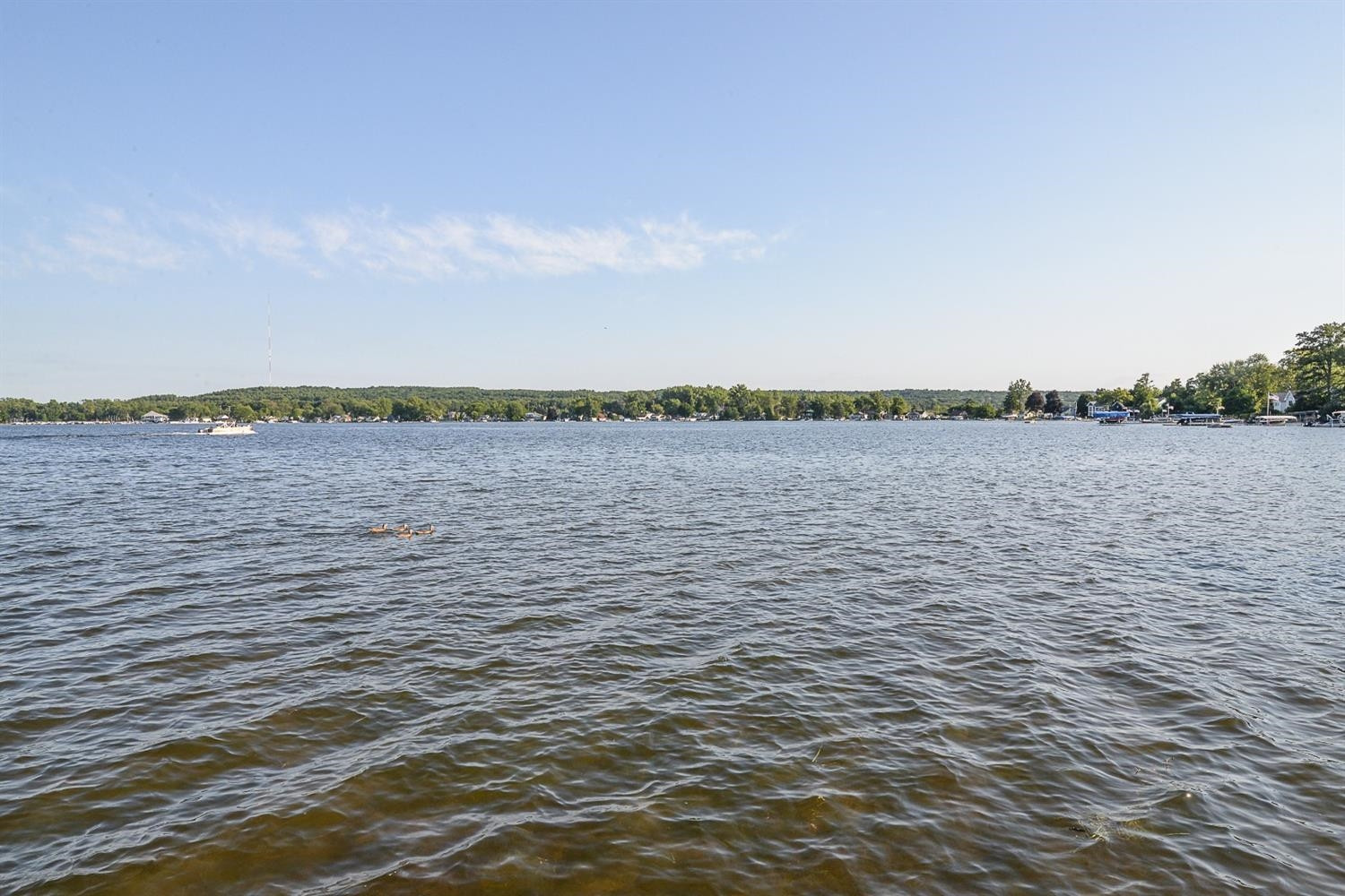 9916 Winston Road Pinckney, MI 48169 - Photo 59 of 65 Photo 59