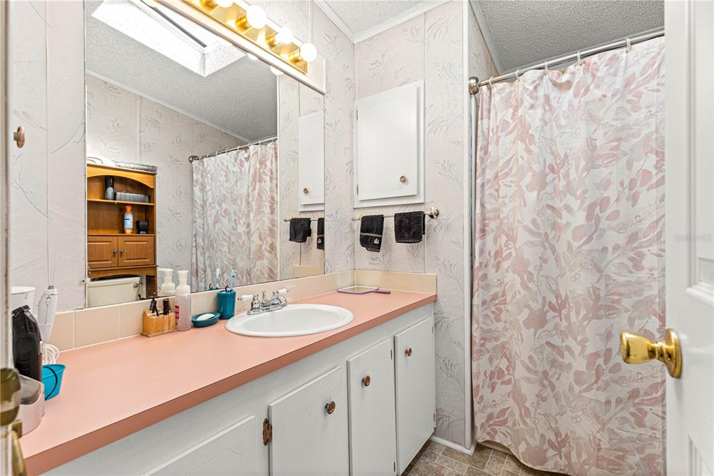 13081 Southeast 47th Court Belleview, FL 34420 - Photo 24 of 42 a bathroom with a sink and a mirror a vanity