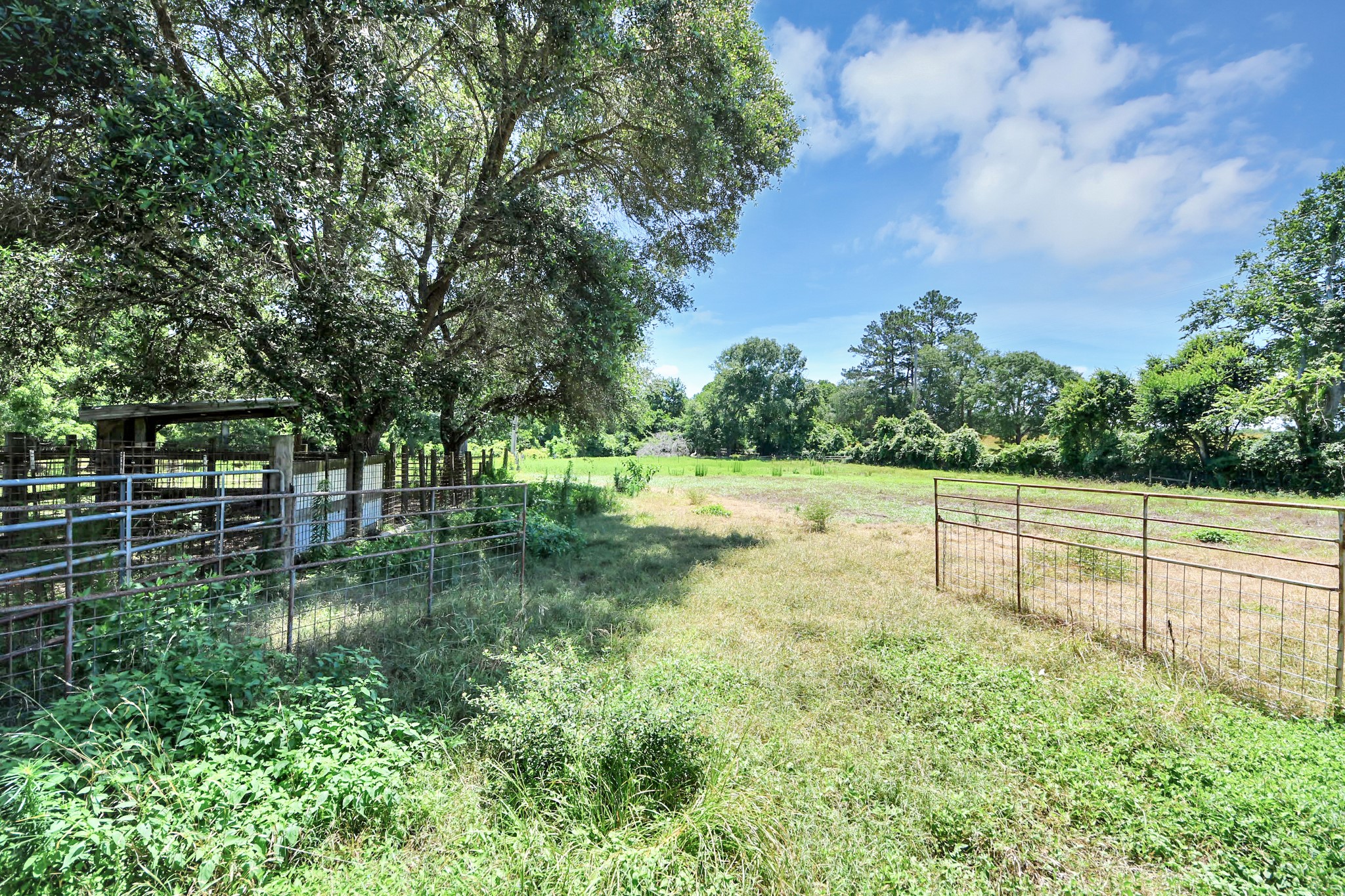 28222 Margerstadt Road Waller, TX 77484 - Photo 43 of 50 Expansive pastureland offers room to grow farming or ranching operations.