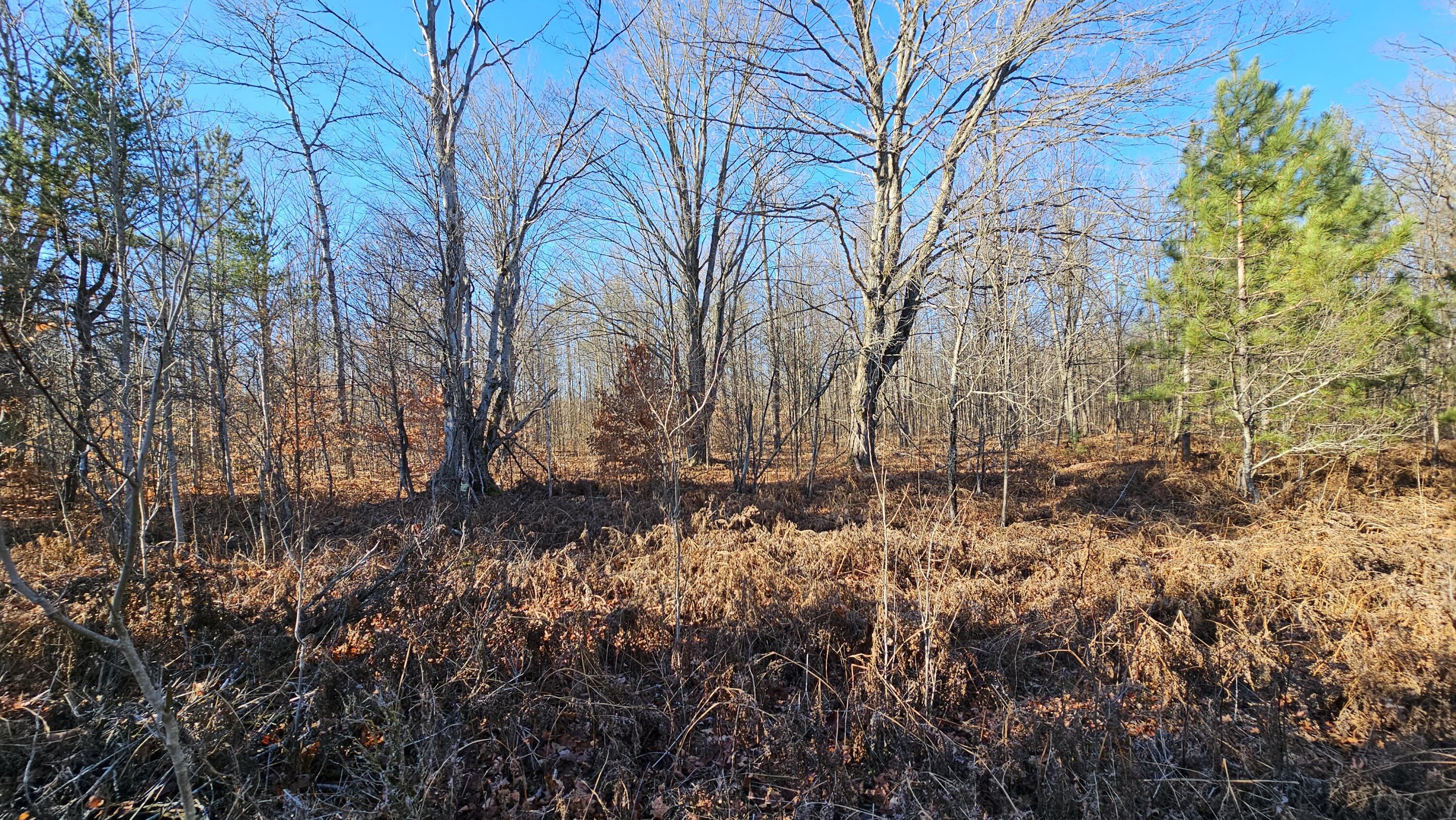 1621 Baker Road Northeast Kalkaska, MI 49646 - Photo 11 of 57 11