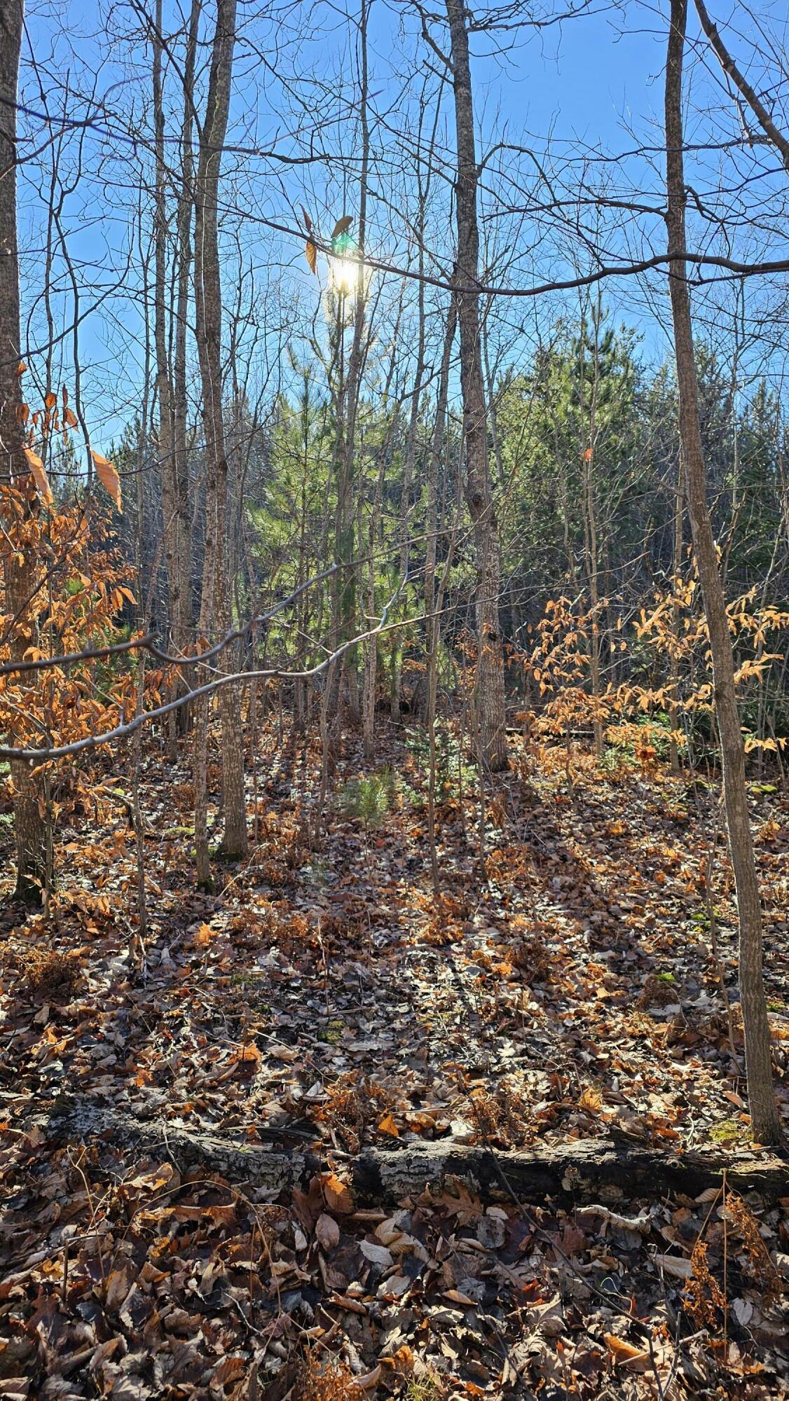 1621 Baker Road Northeast Kalkaska, MI 49646 - Photo 12 of 57 12