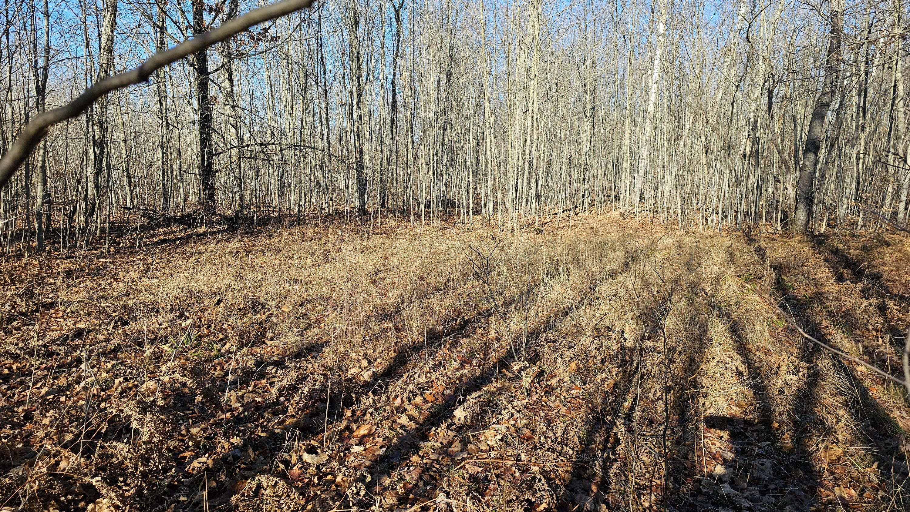 1621 Baker Road Northeast Kalkaska, MI 49646 - Photo 14 of 57 14