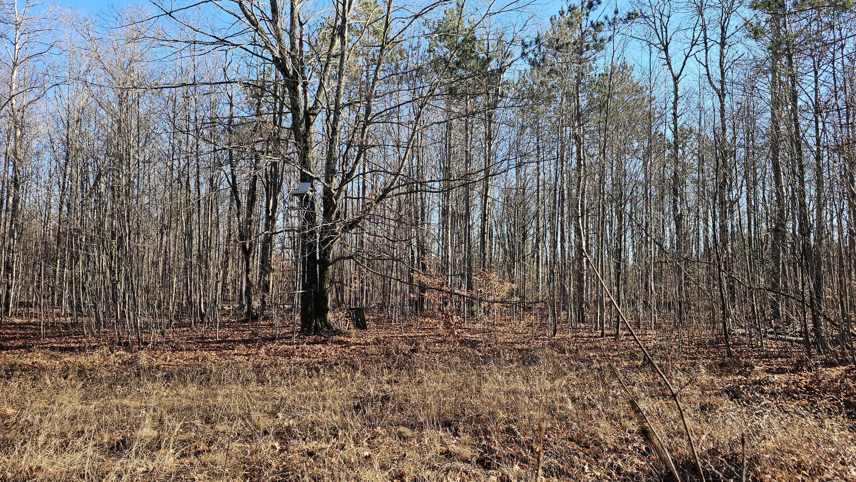 1621 Baker Road Northeast Kalkaska, MI 49646 - Photo 16 of 57 16