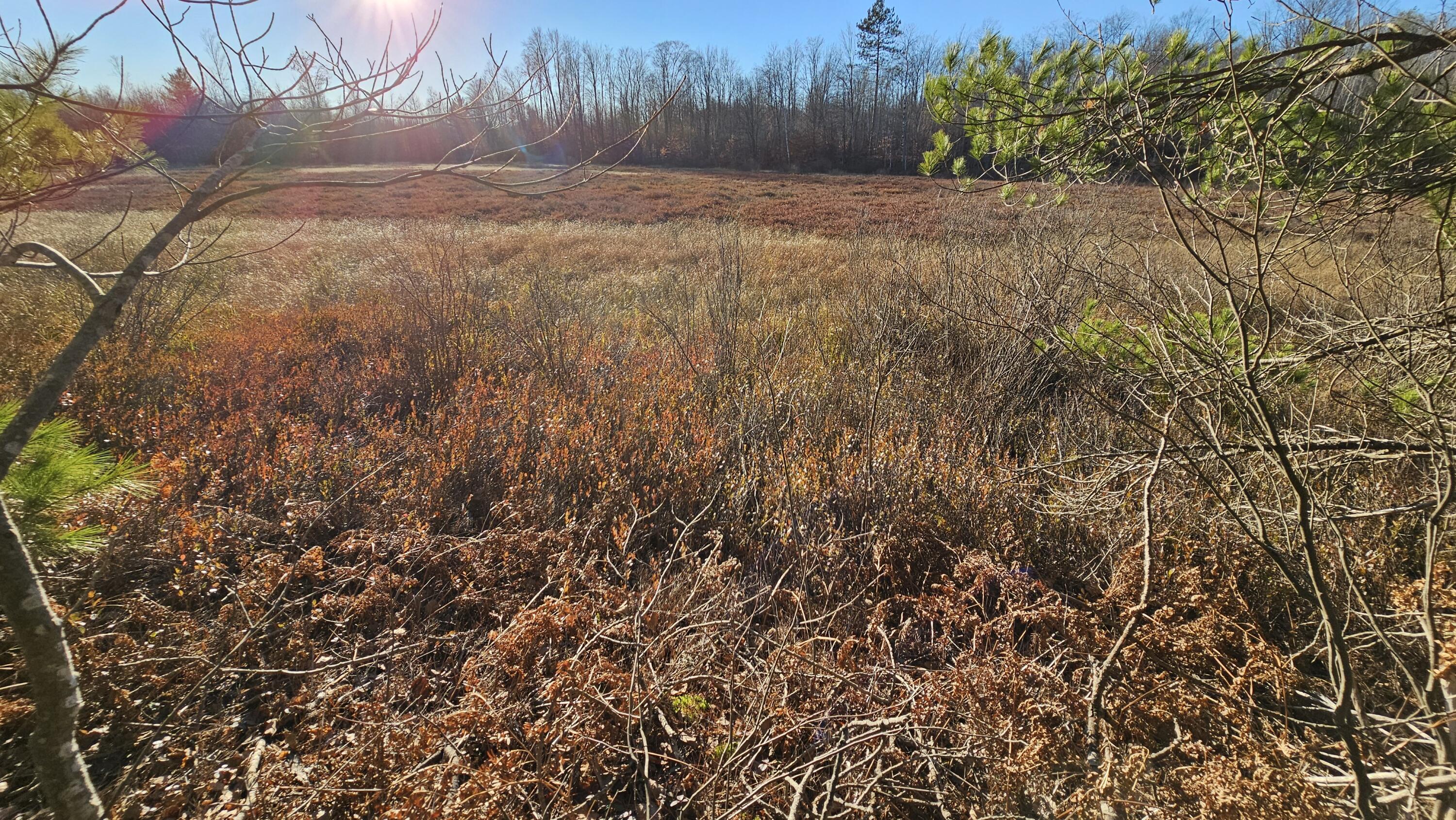 1621 Baker Road Northeast Kalkaska, MI 49646 - Photo 18 of 57 18