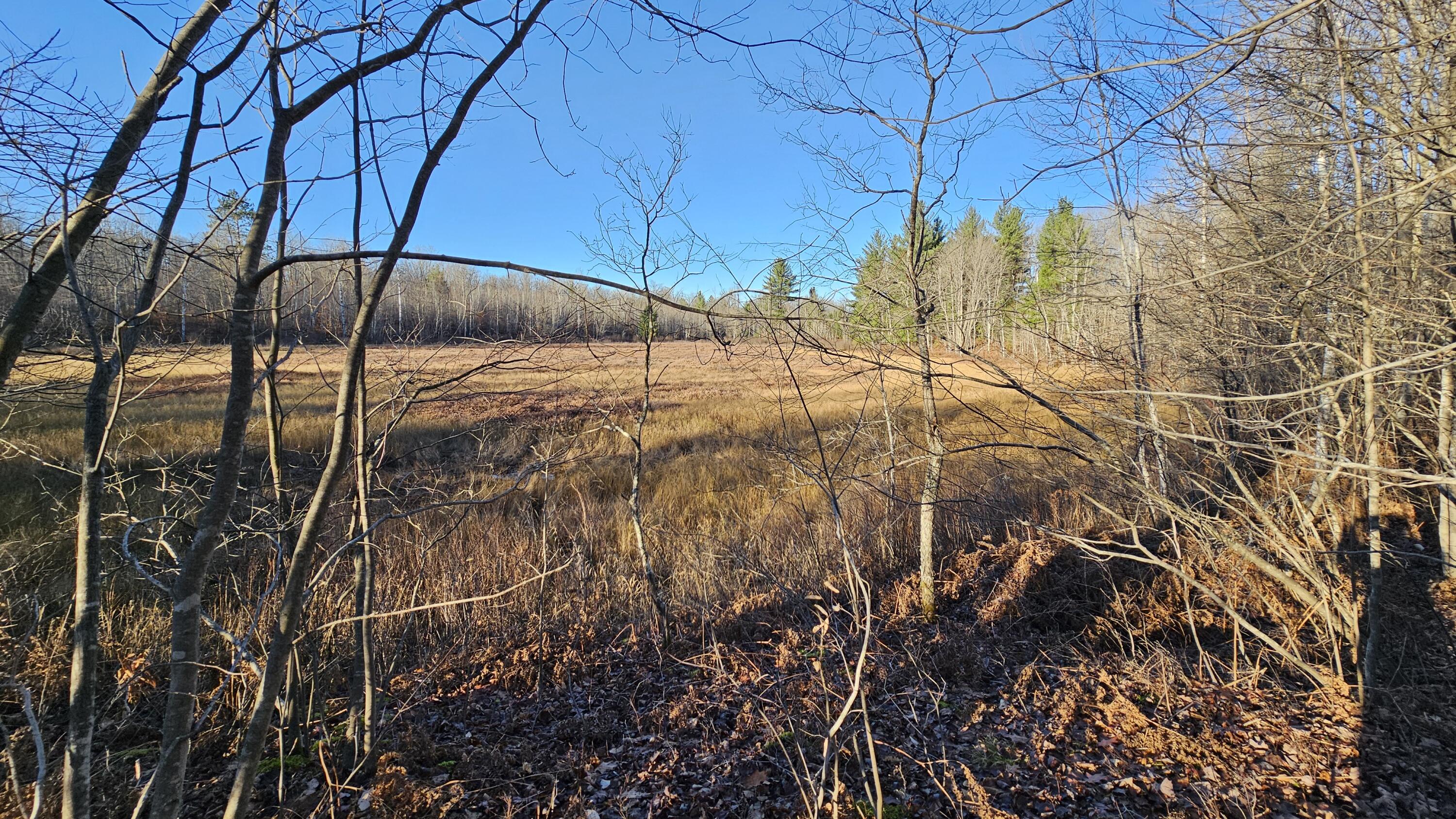 1621 Baker Road Northeast Kalkaska, MI 49646 - Photo 19 of 57 19