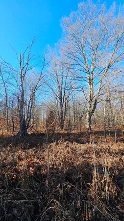 $65,000 | 1621 Baker Road Northeast, Kalkaska, MI 49646