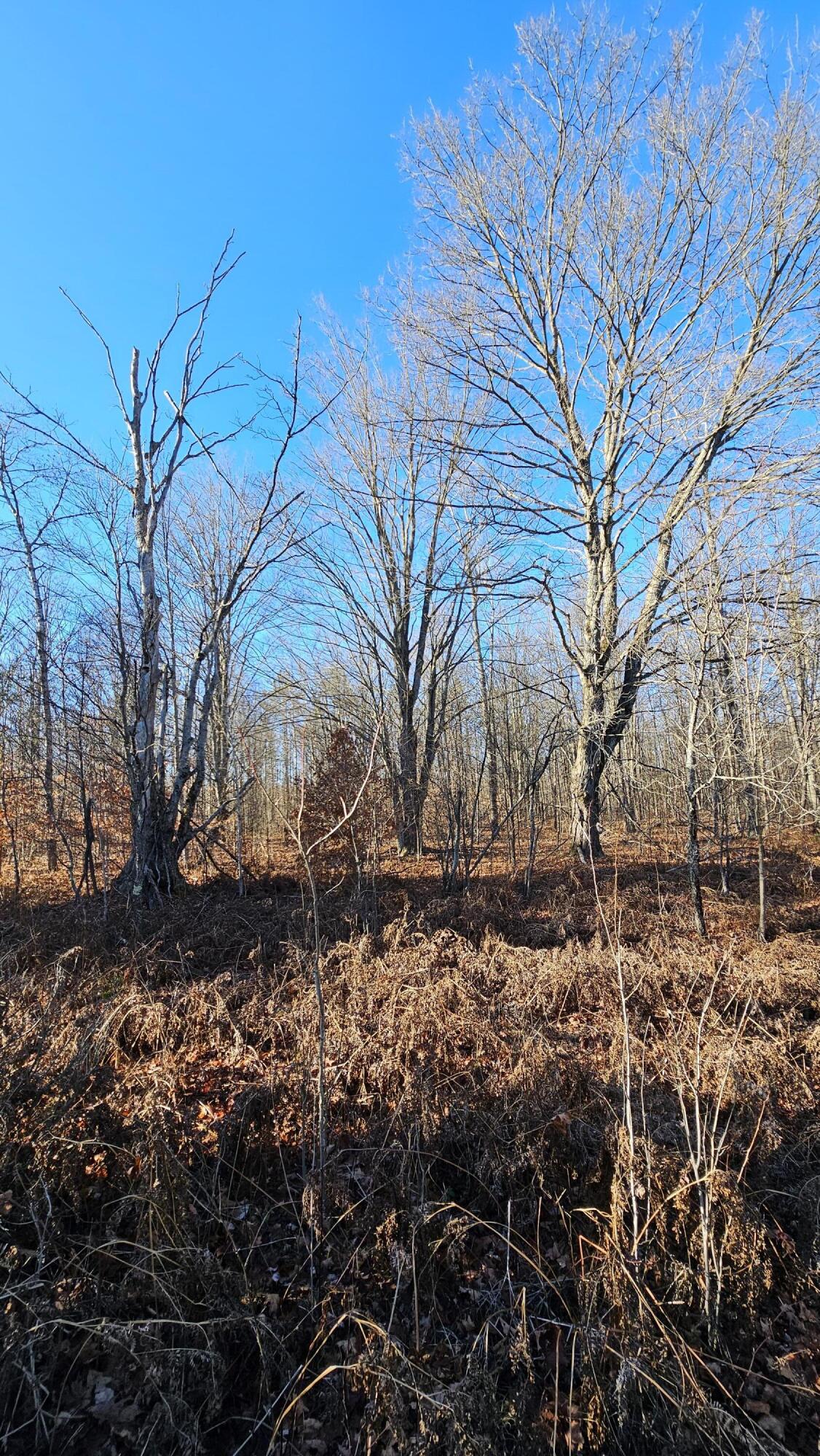 1621 Baker Road Northeast Kalkaska, MI 49646 - Photo 20 of 57 20