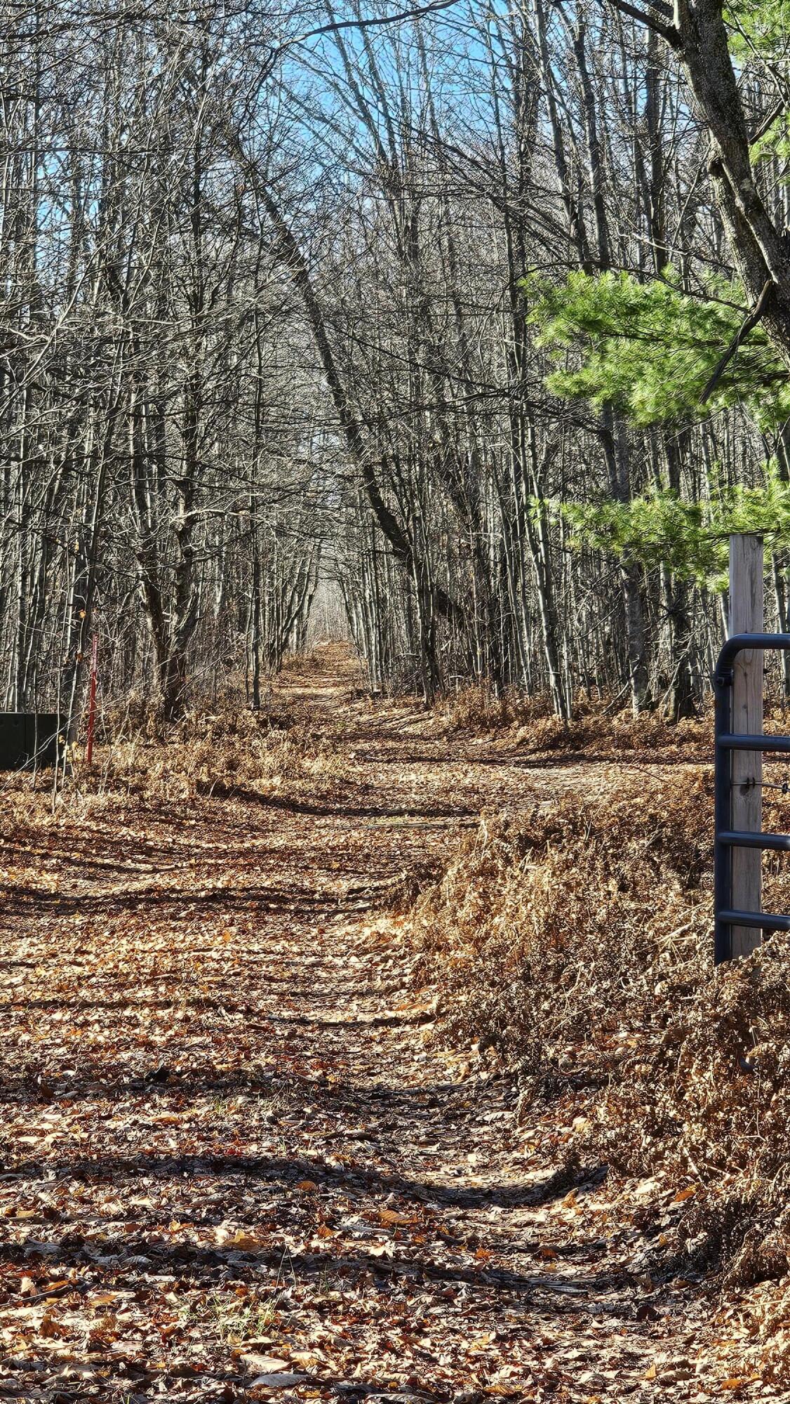 1621 Baker Road Northeast Kalkaska, MI 49646 - Photo 2 of 57 2