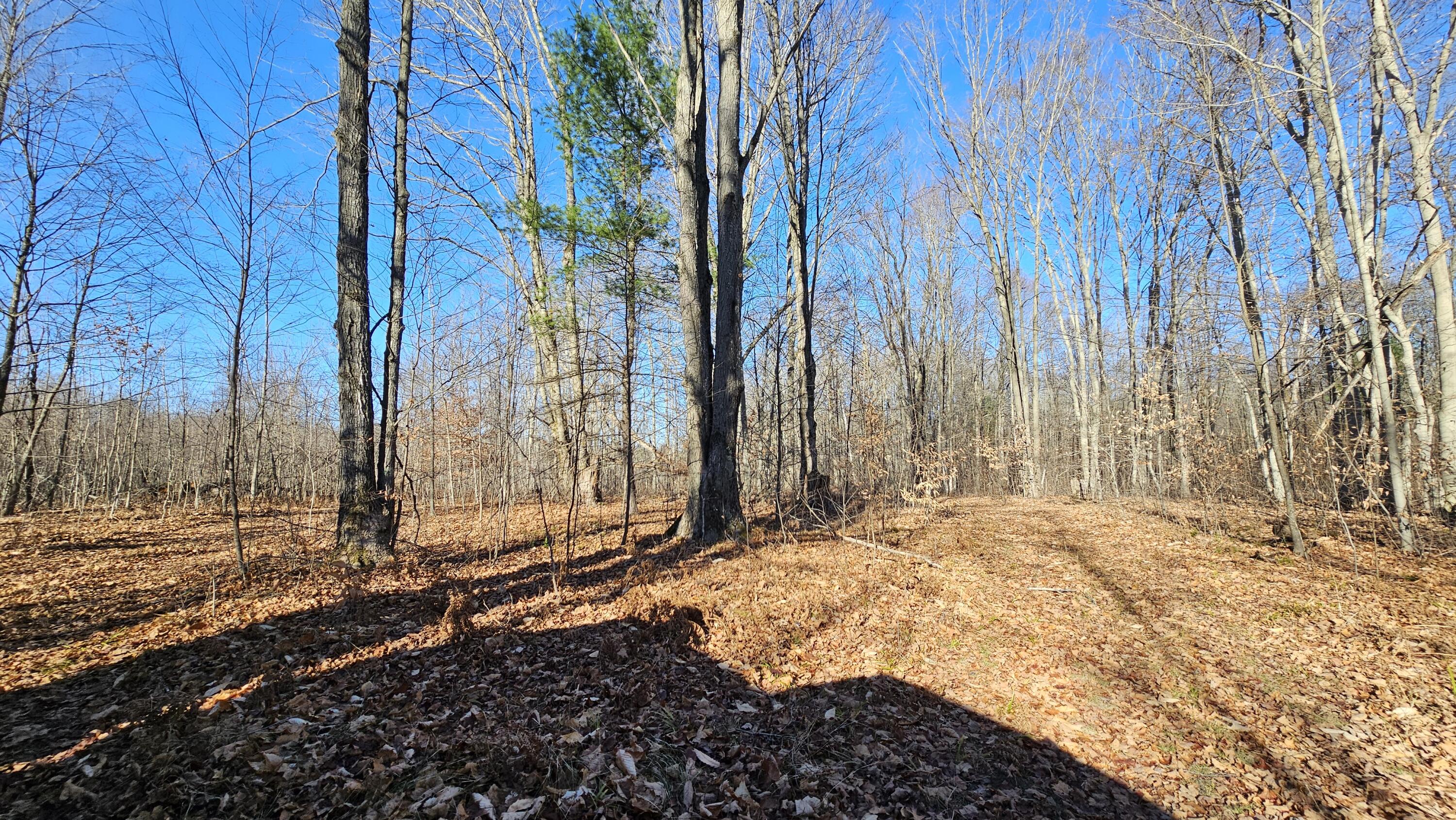 1621 Baker Road Northeast Kalkaska, MI 49646 - Photo 21 of 57 21