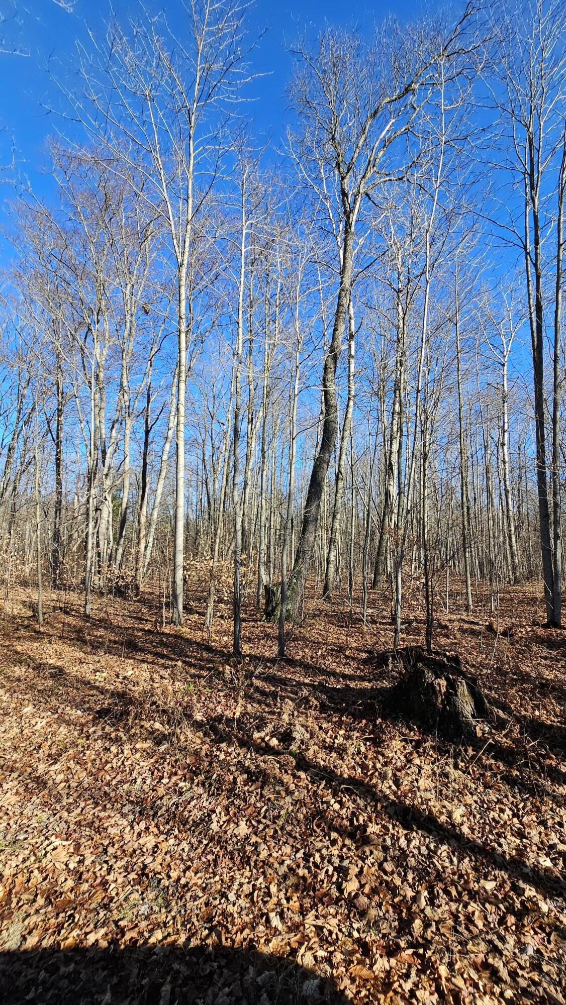 1621 Baker Road Northeast Kalkaska, MI 49646 - Photo 23 of 57 23