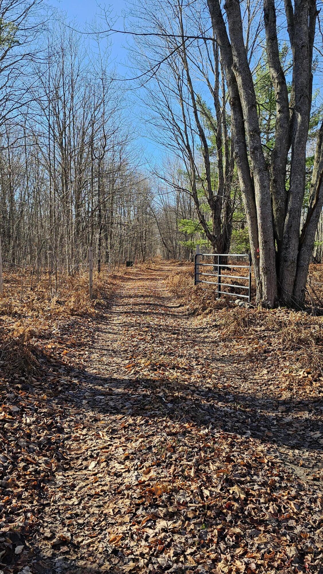 1621 Baker Road Northeast Kalkaska, MI 49646 - Photo 24 of 57 24
