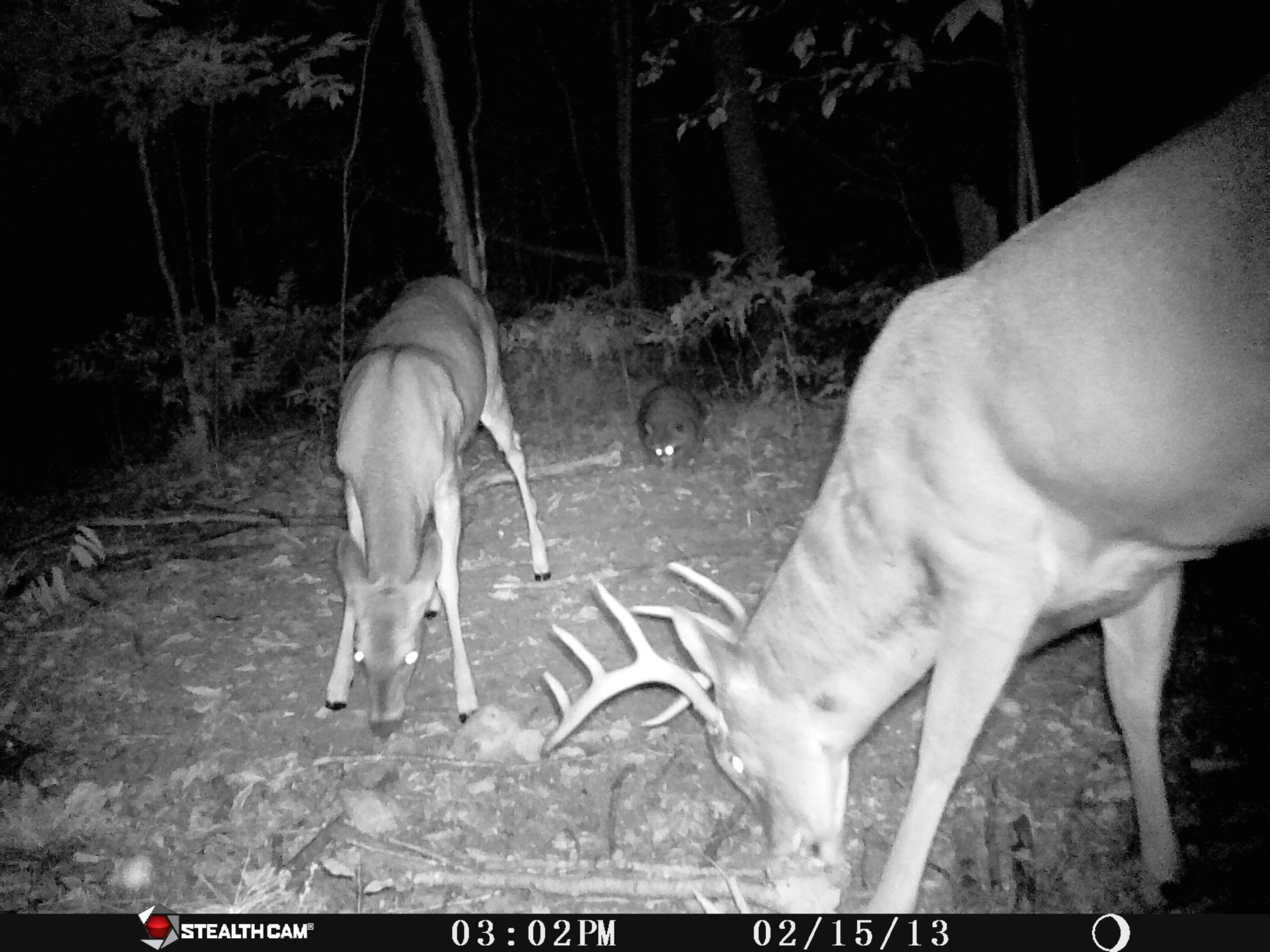 1621 Baker Road Northeast Kalkaska, MI 49646 - Photo 28 of 57 28