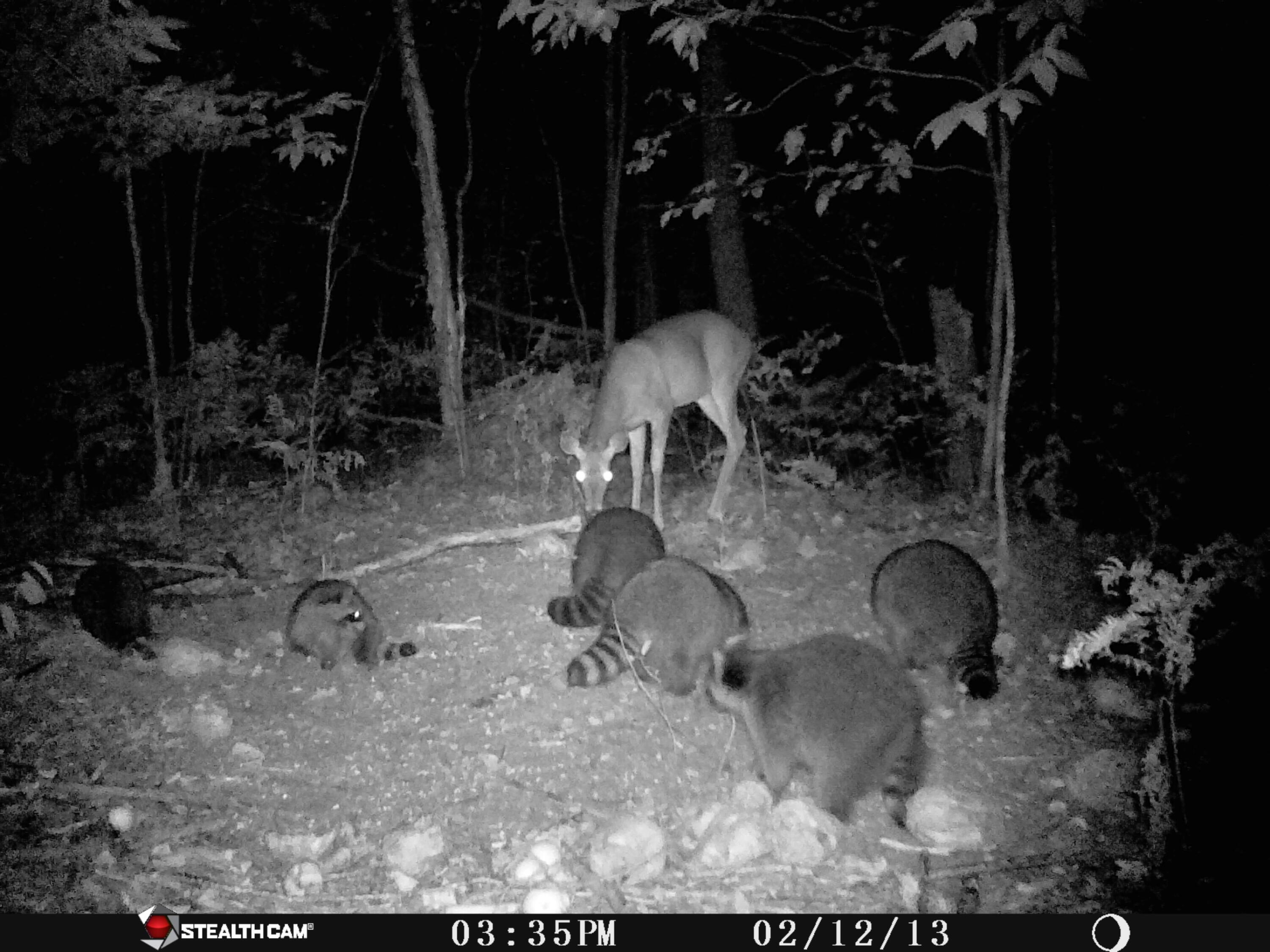 1621 Baker Road Northeast Kalkaska, MI 49646 - Photo 29 of 57 29