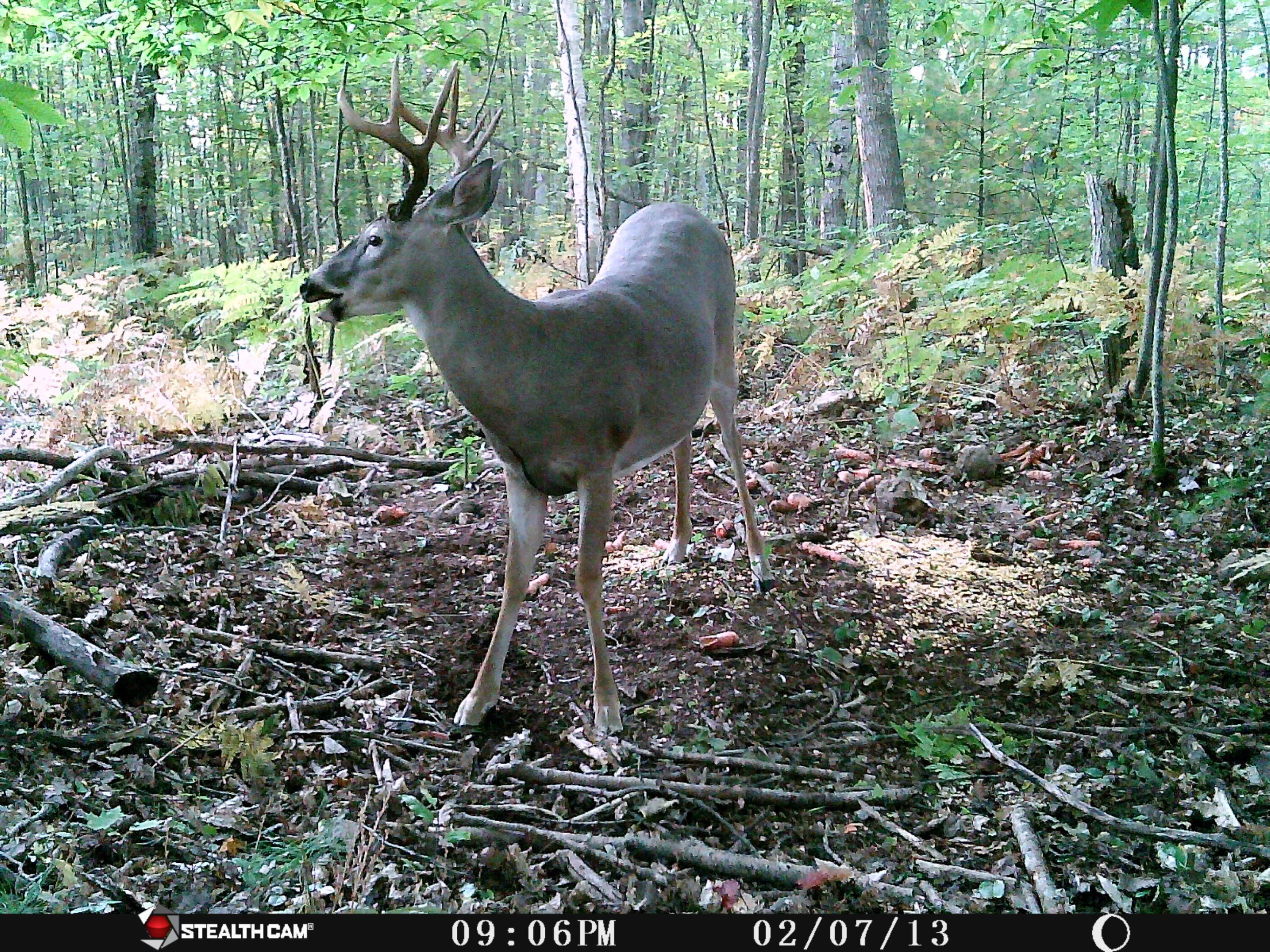 1621 Baker Road Northeast Kalkaska, MI 49646 - Photo 30 of 57 30