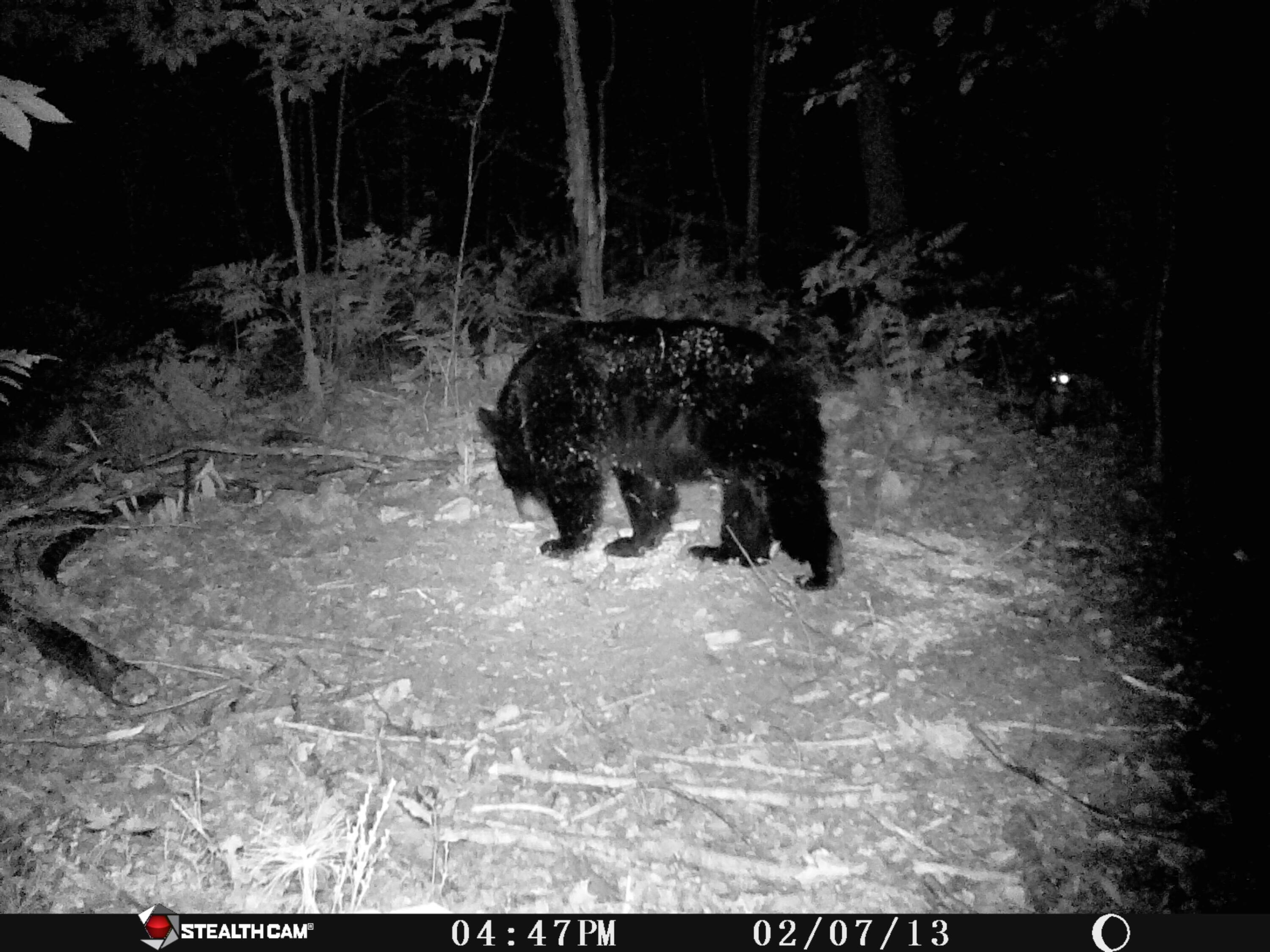 1621 Baker Road Northeast Kalkaska, MI 49646 - Photo 31 of 57 31