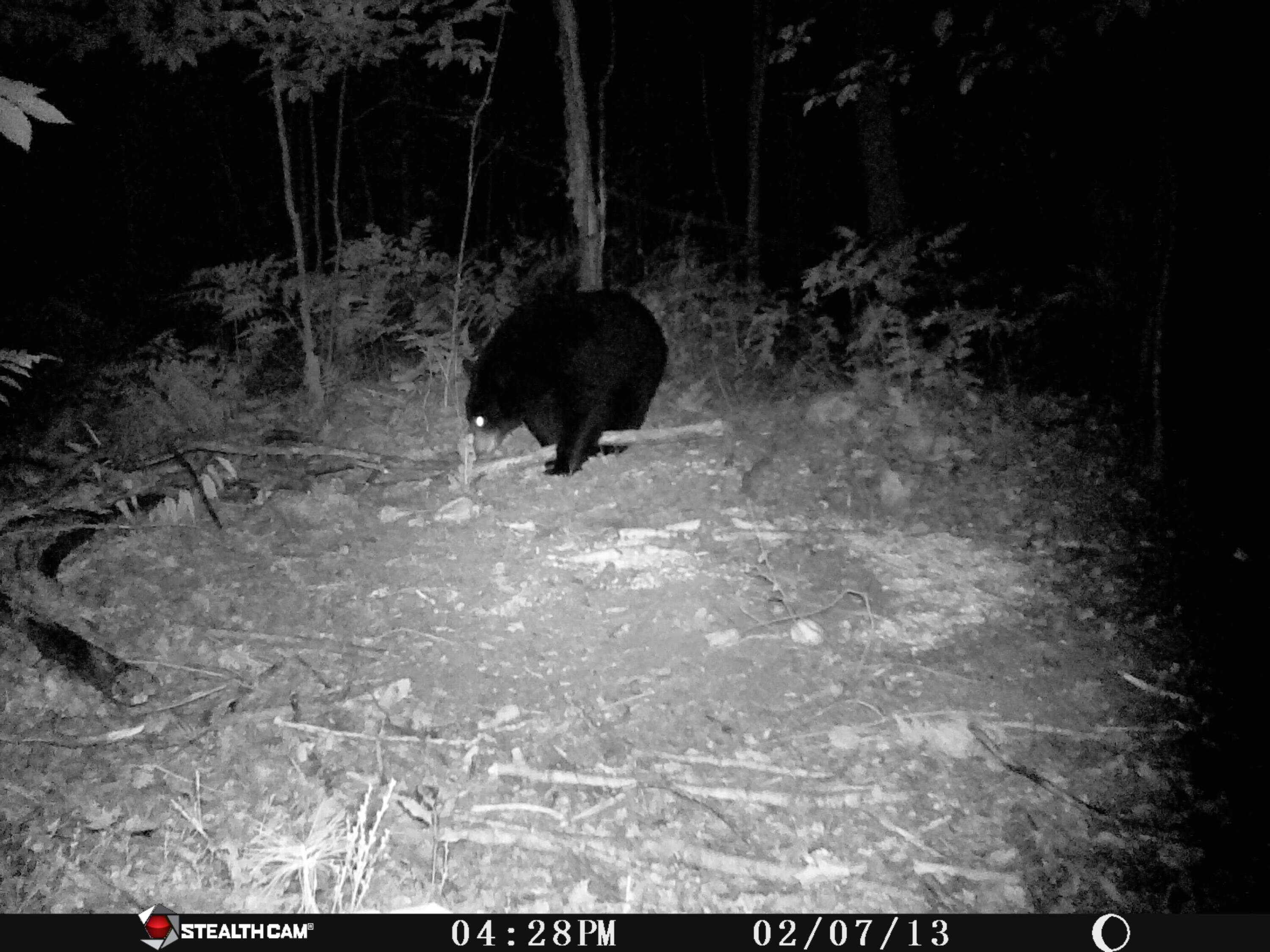 1621 Baker Road Northeast Kalkaska, MI 49646 - Photo 32 of 57 32