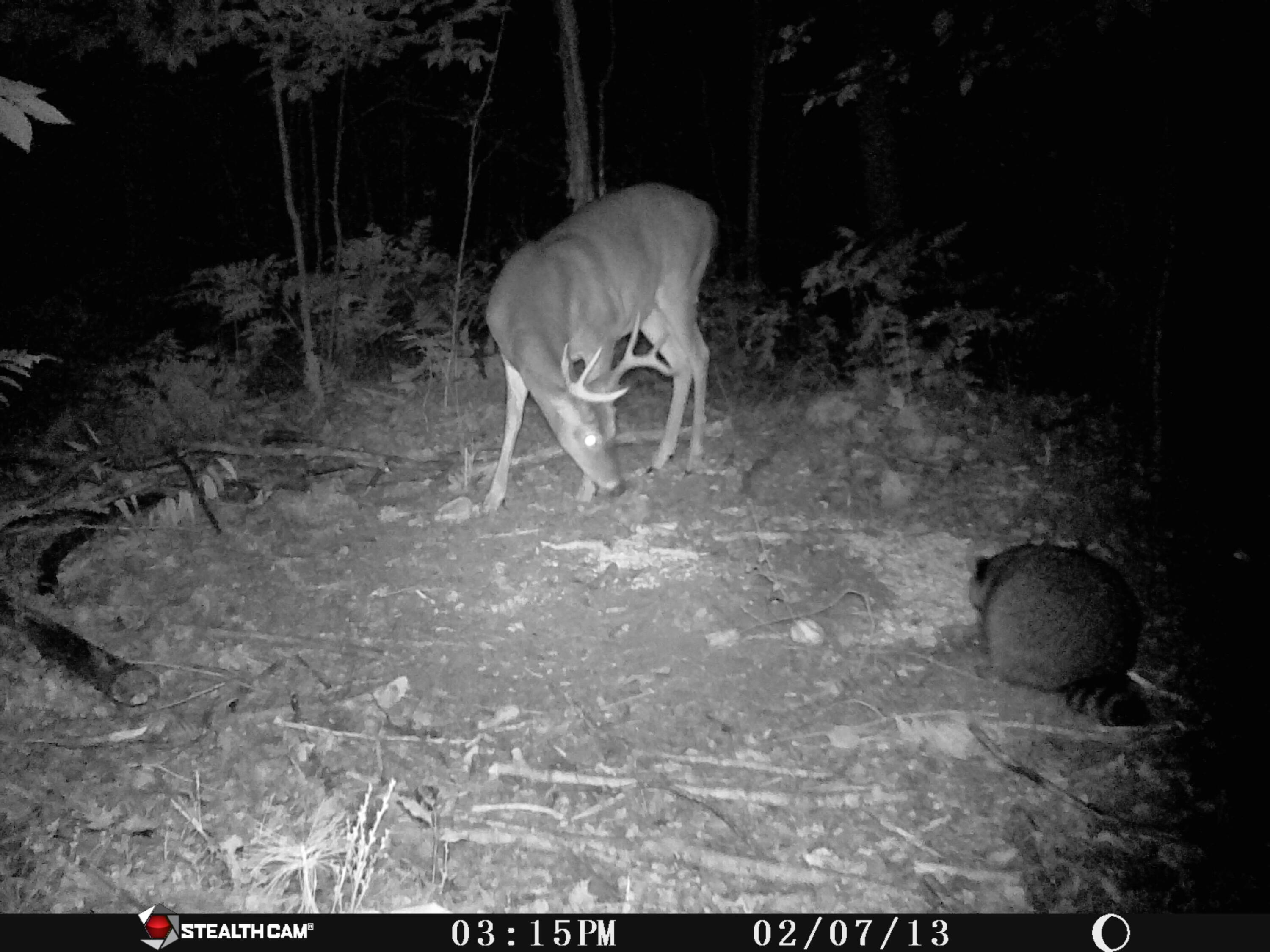 1621 Baker Road Northeast Kalkaska, MI 49646 - Photo 33 of 57 33