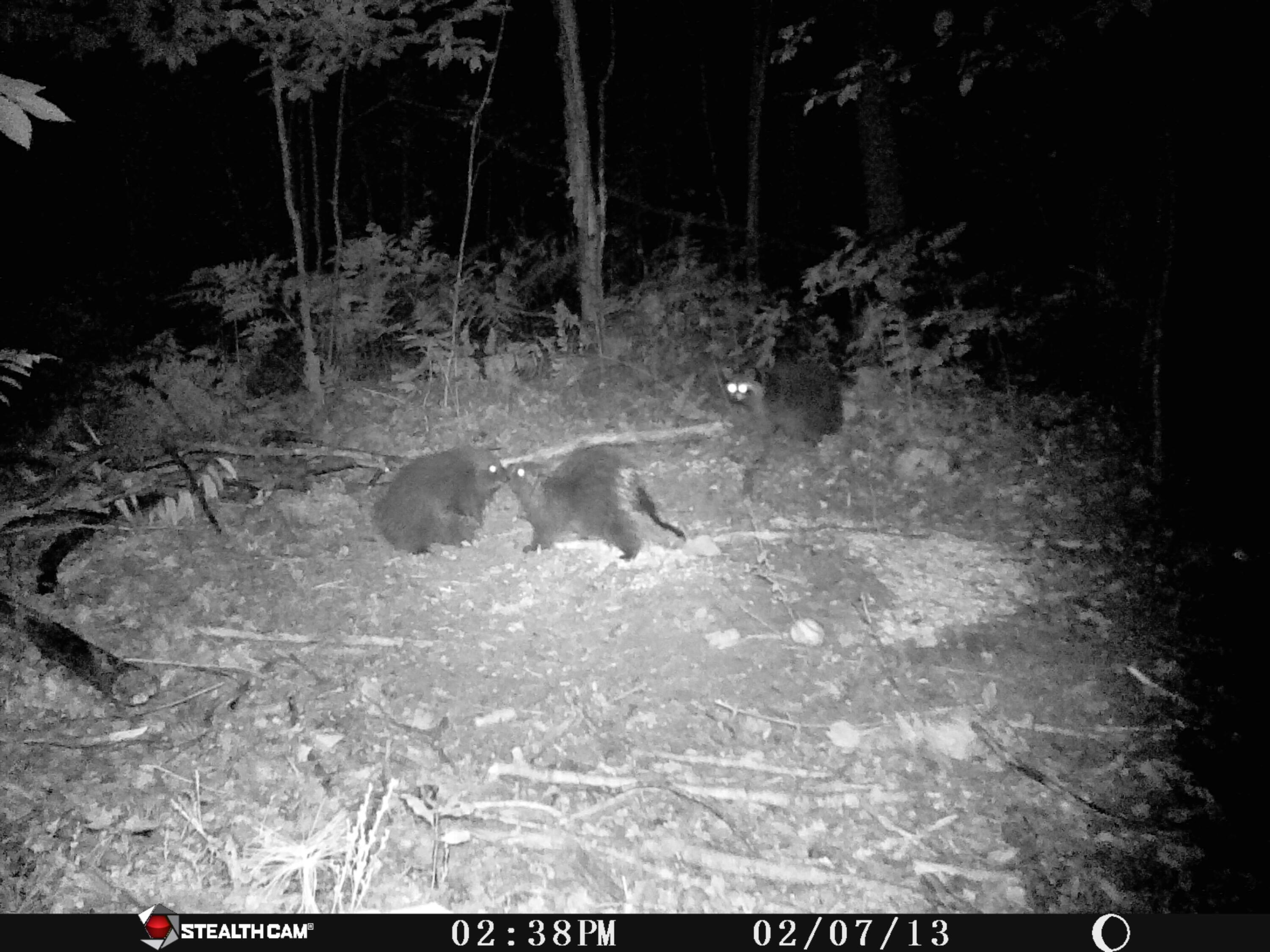 1621 Baker Road Northeast Kalkaska, MI 49646 - Photo 34 of 57 34